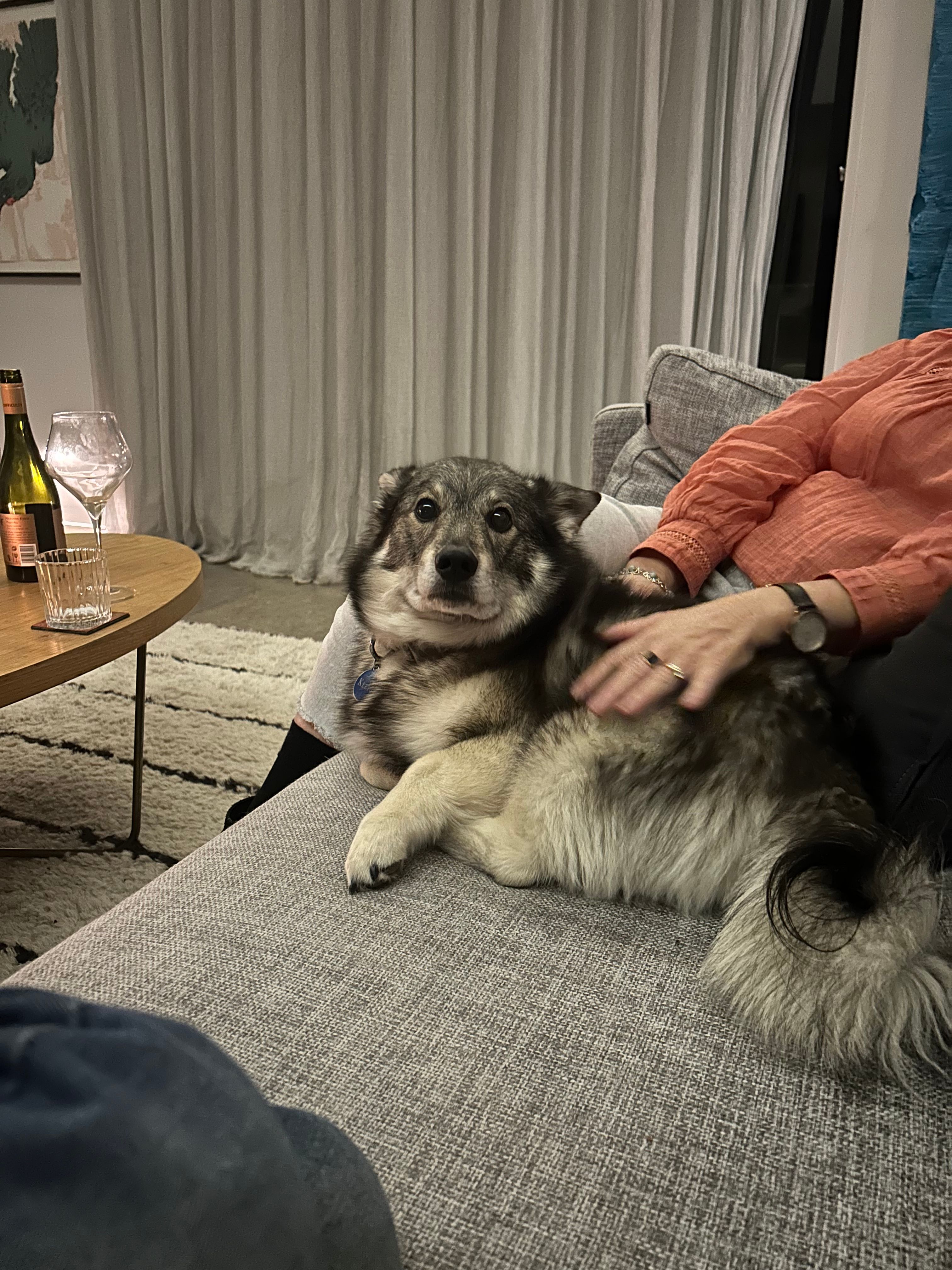 image-8