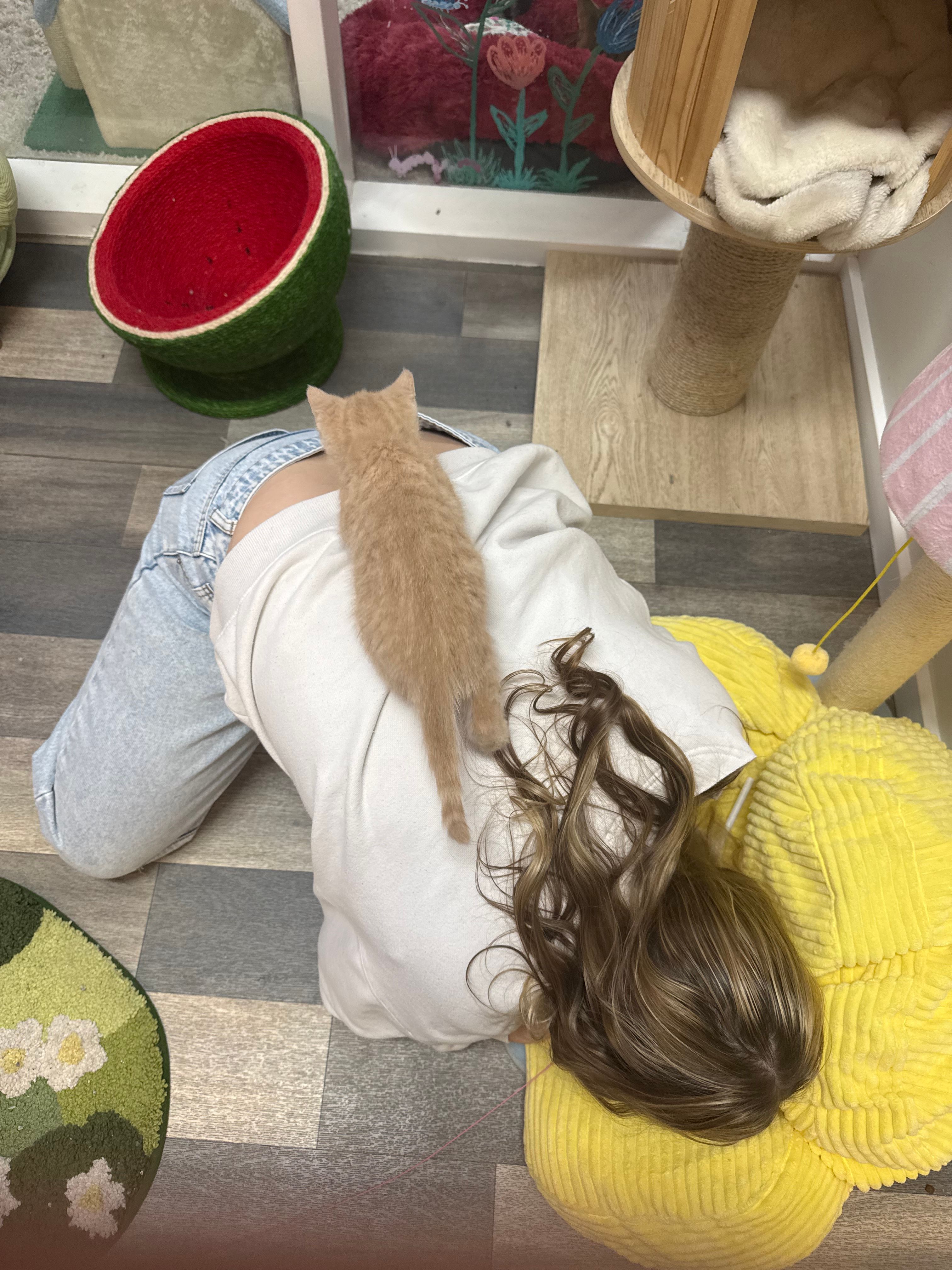 image-12