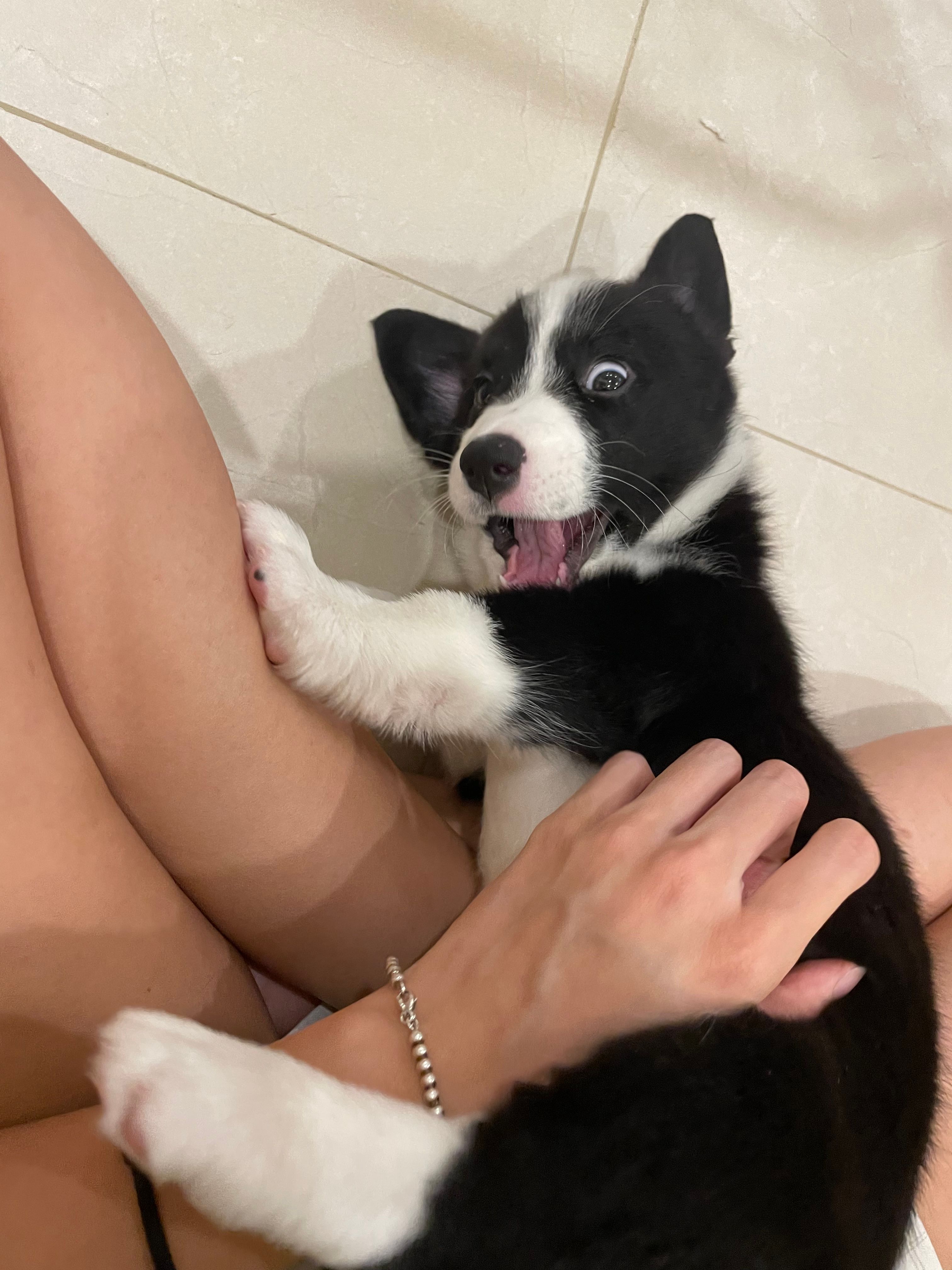 image-4