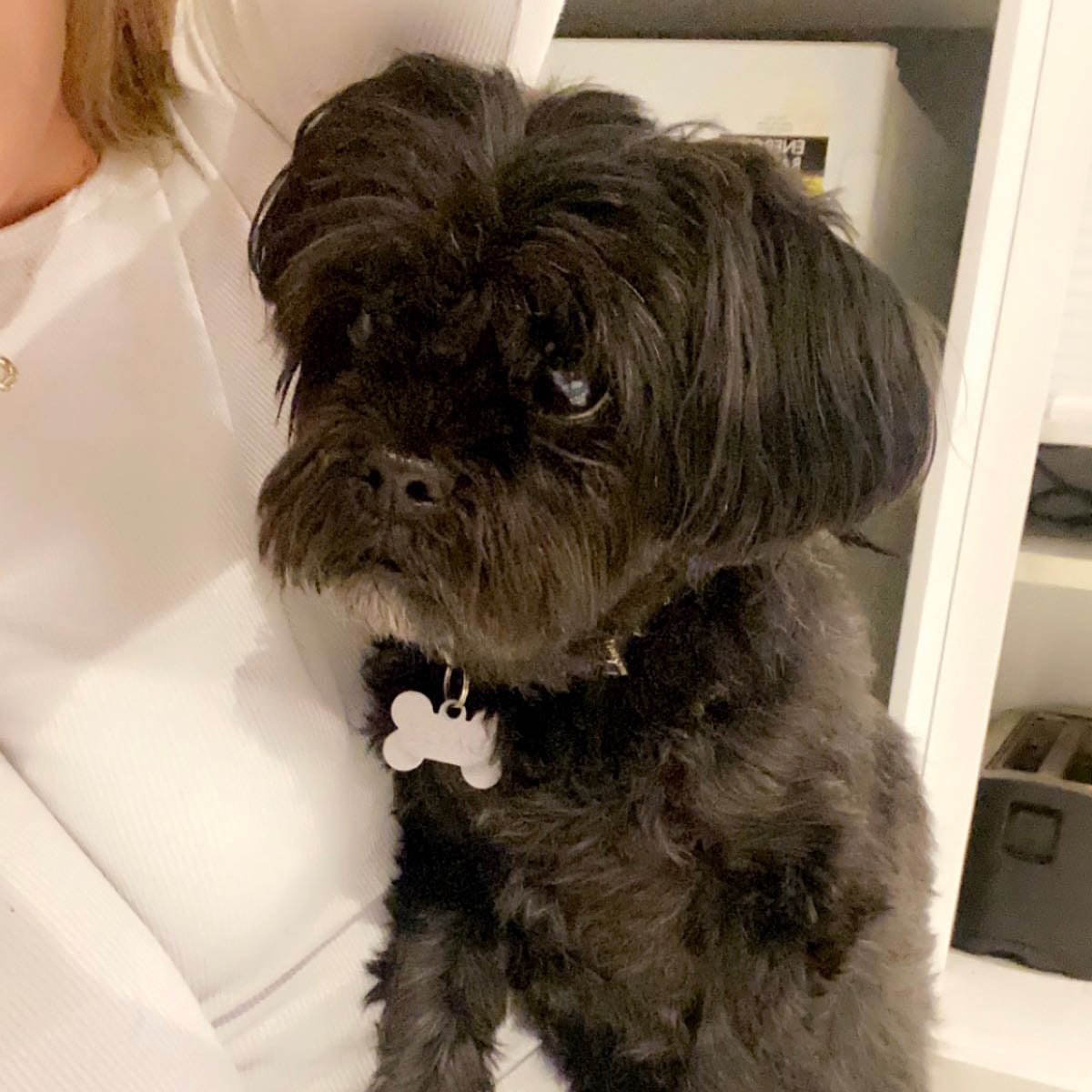 Daisy