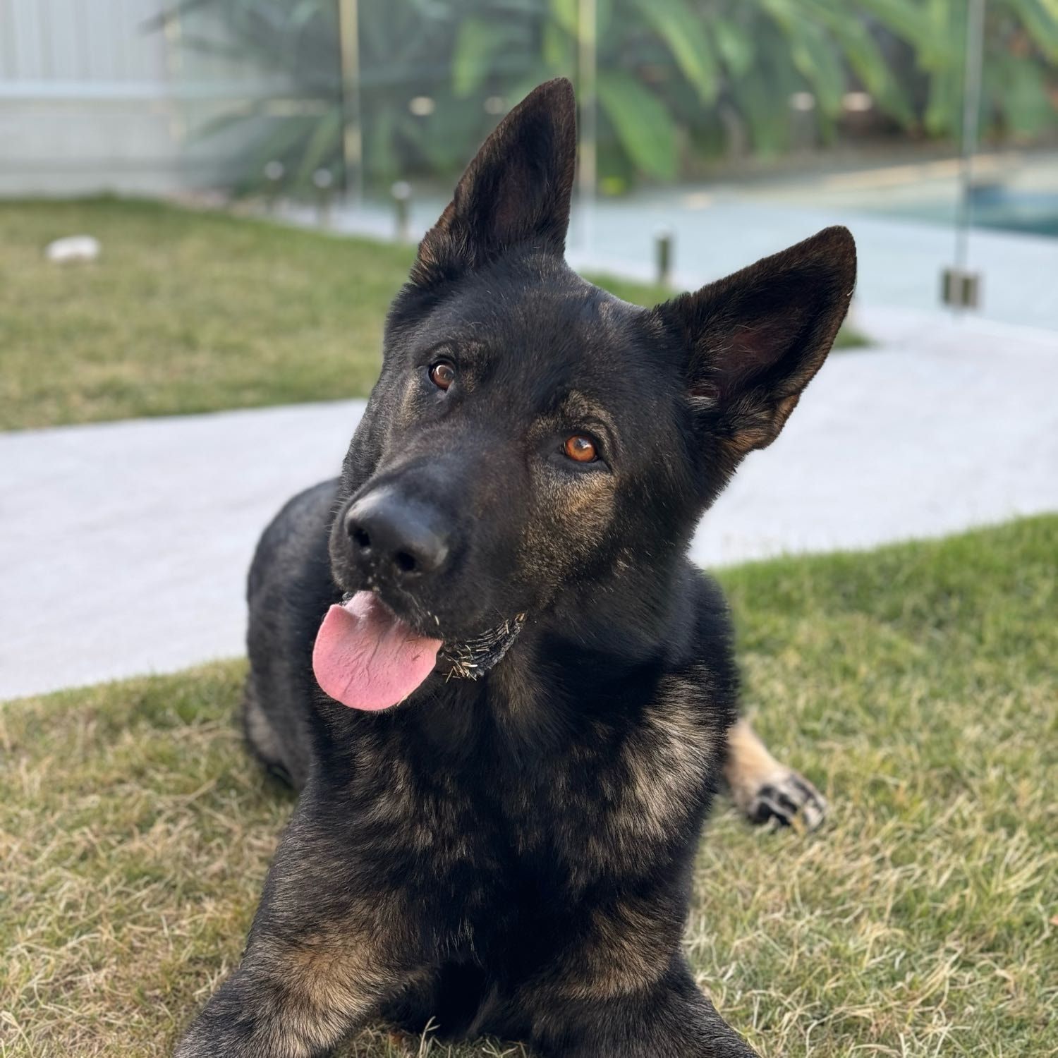 Otis