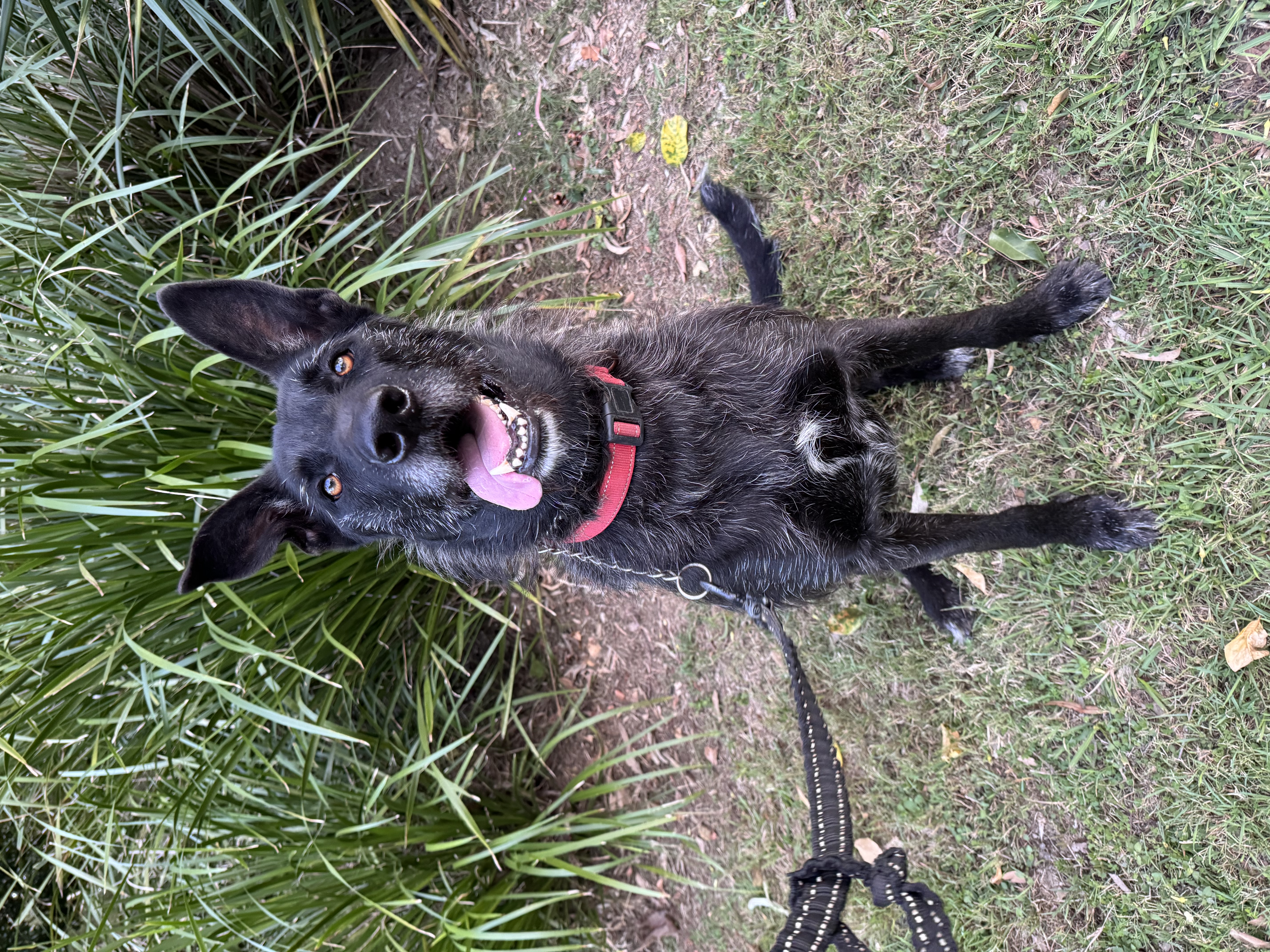 image-19