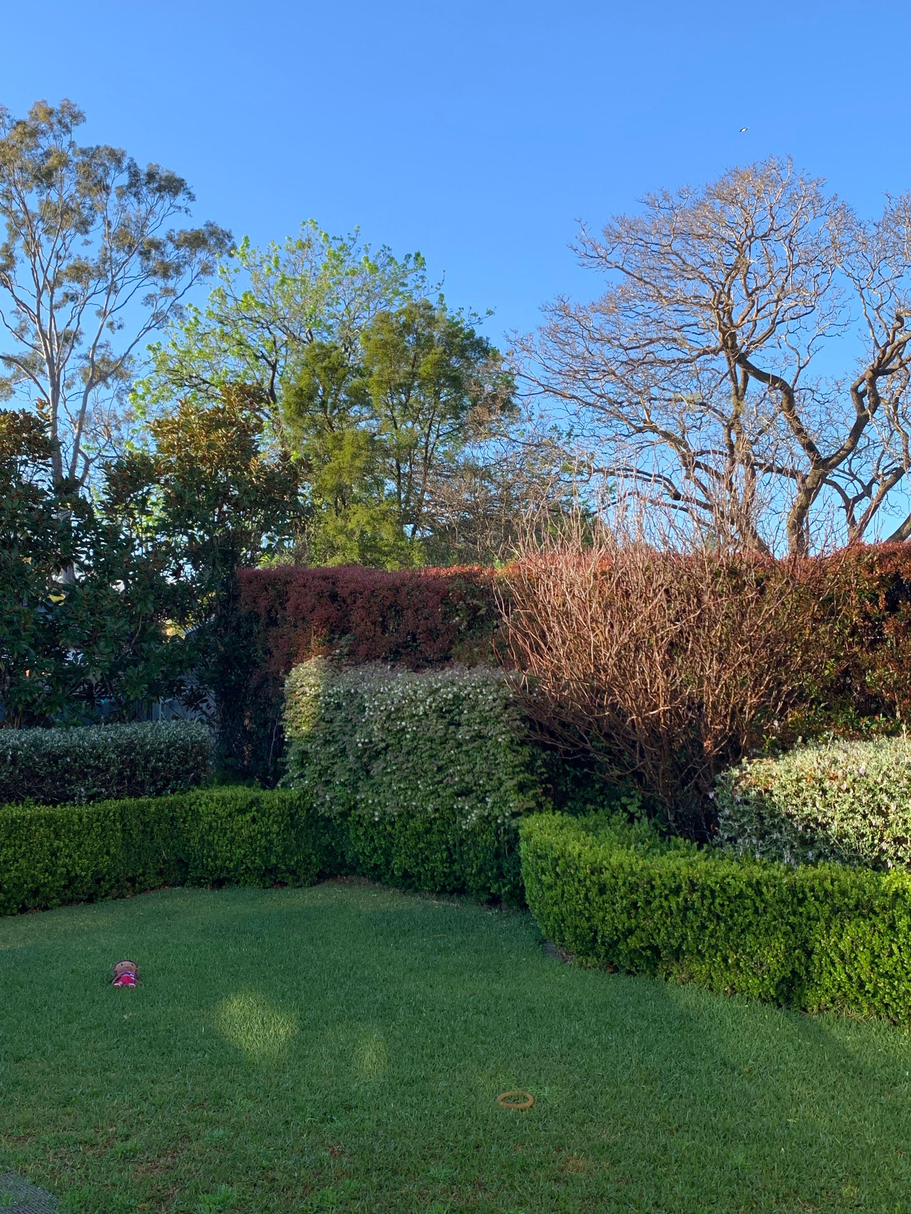 image-6