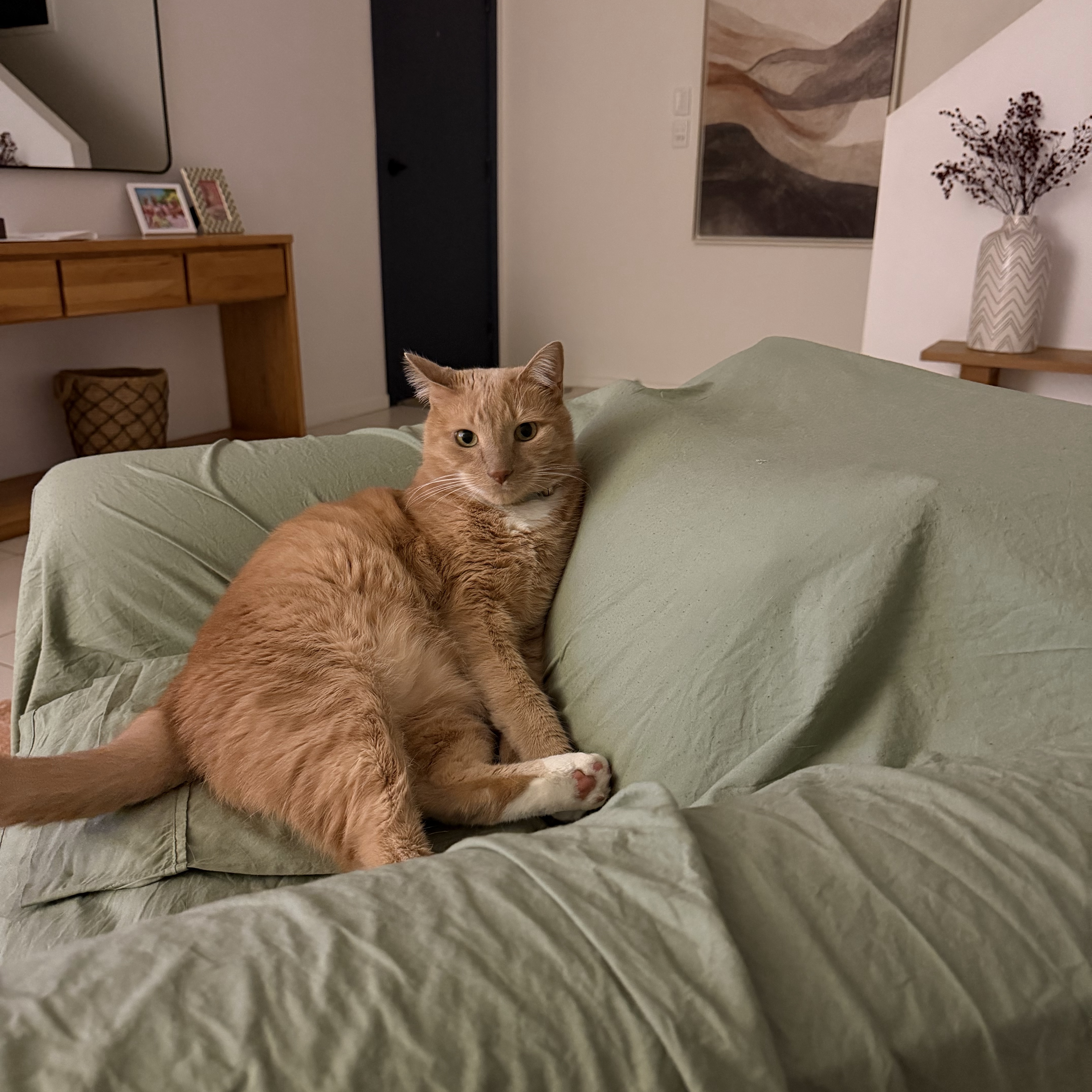 Oliver