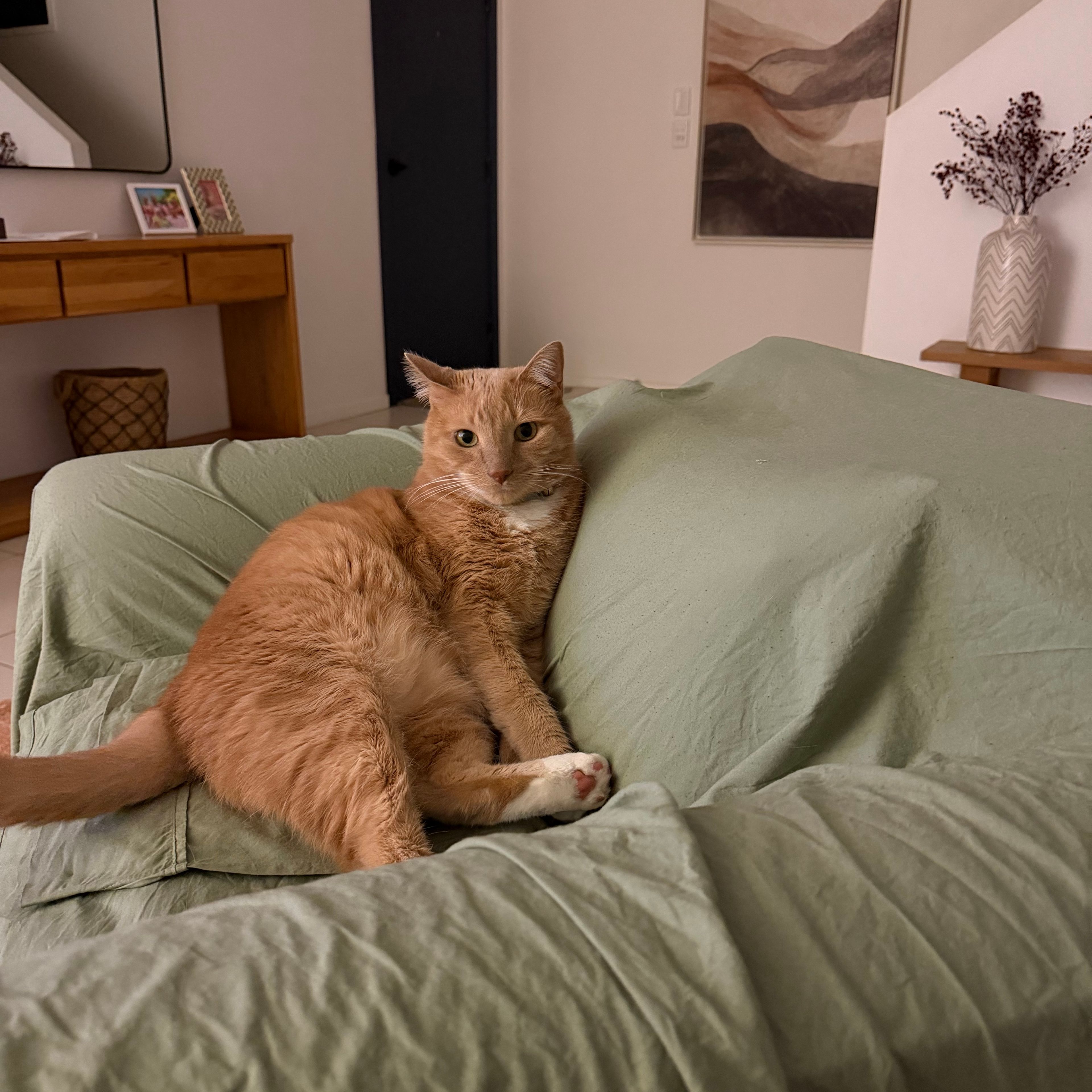 Oliver