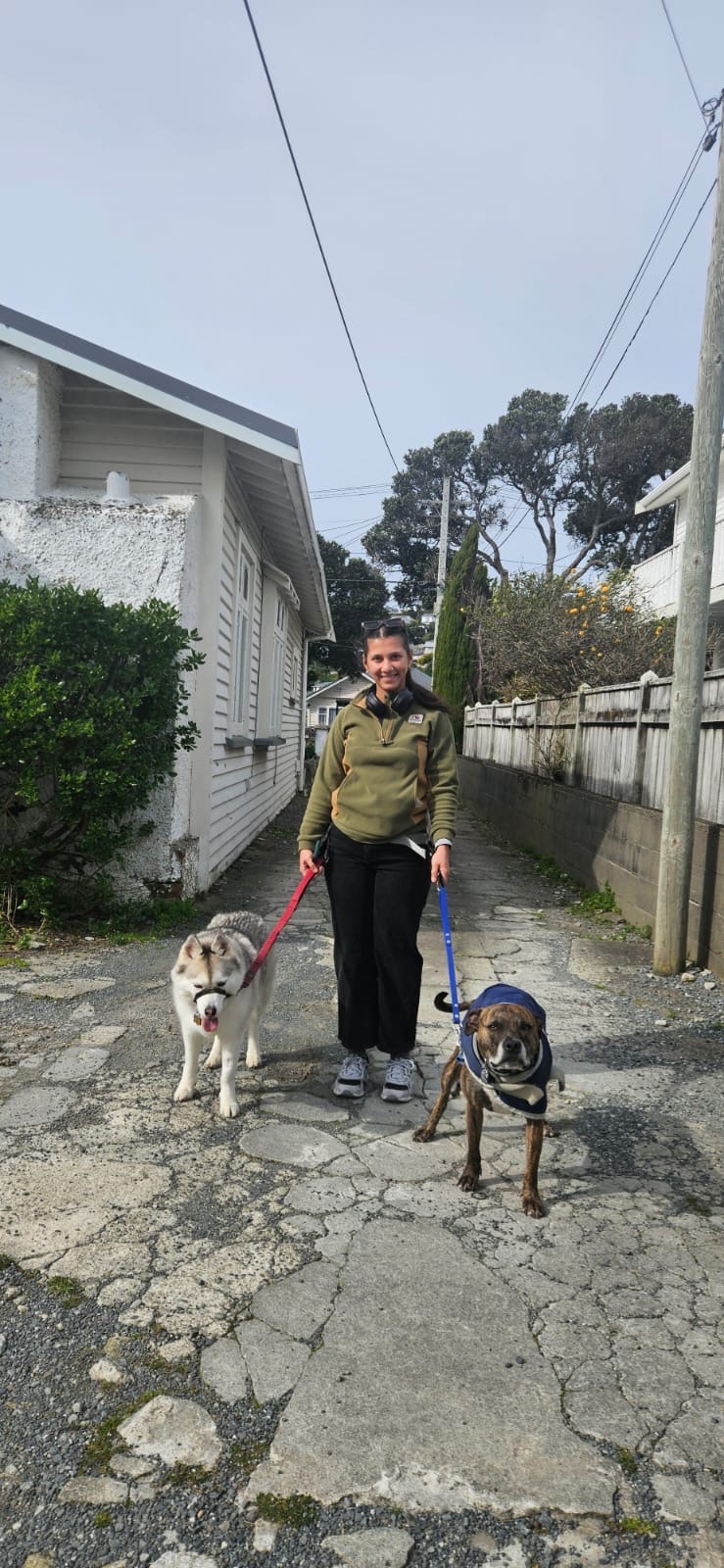 image-7