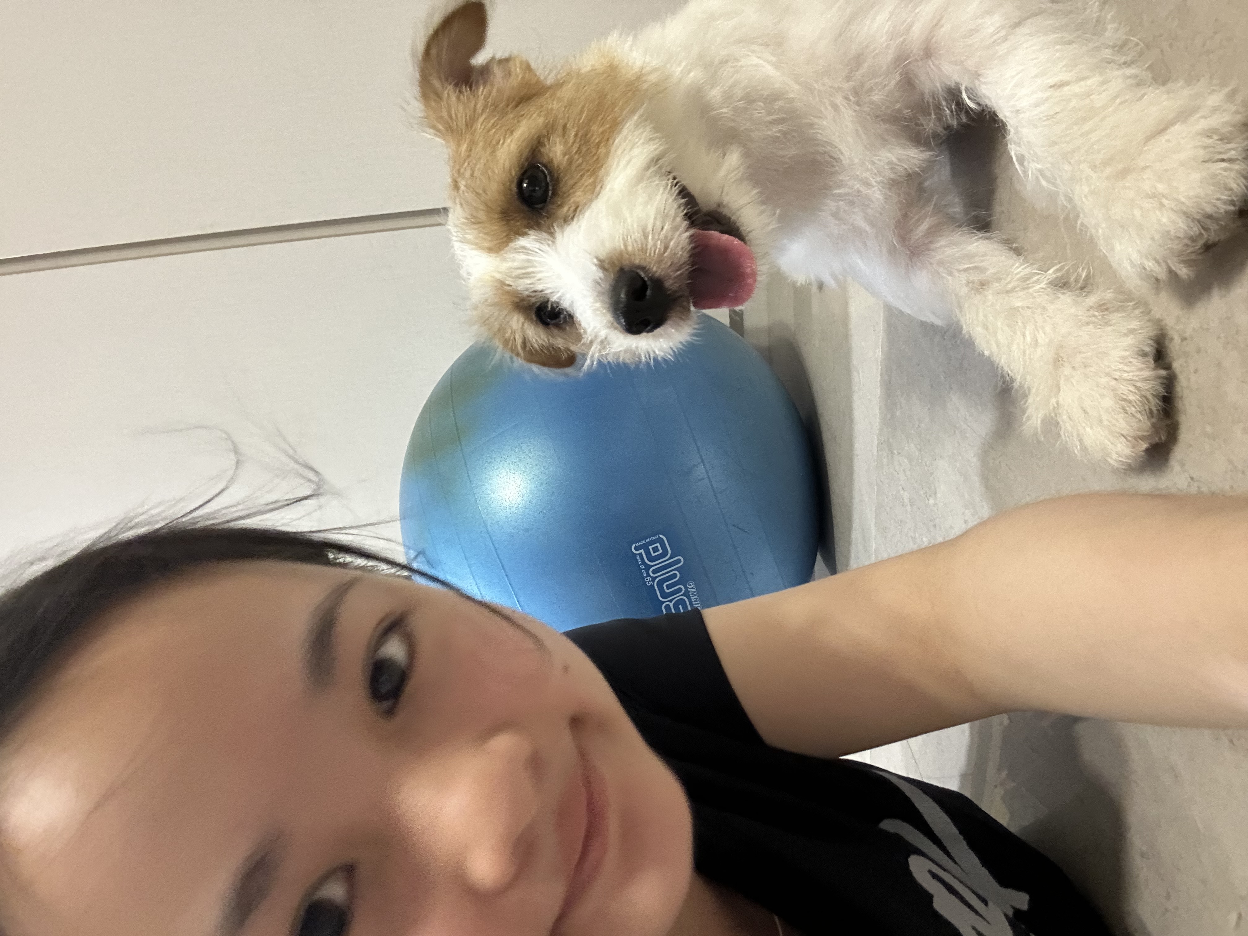 image-6