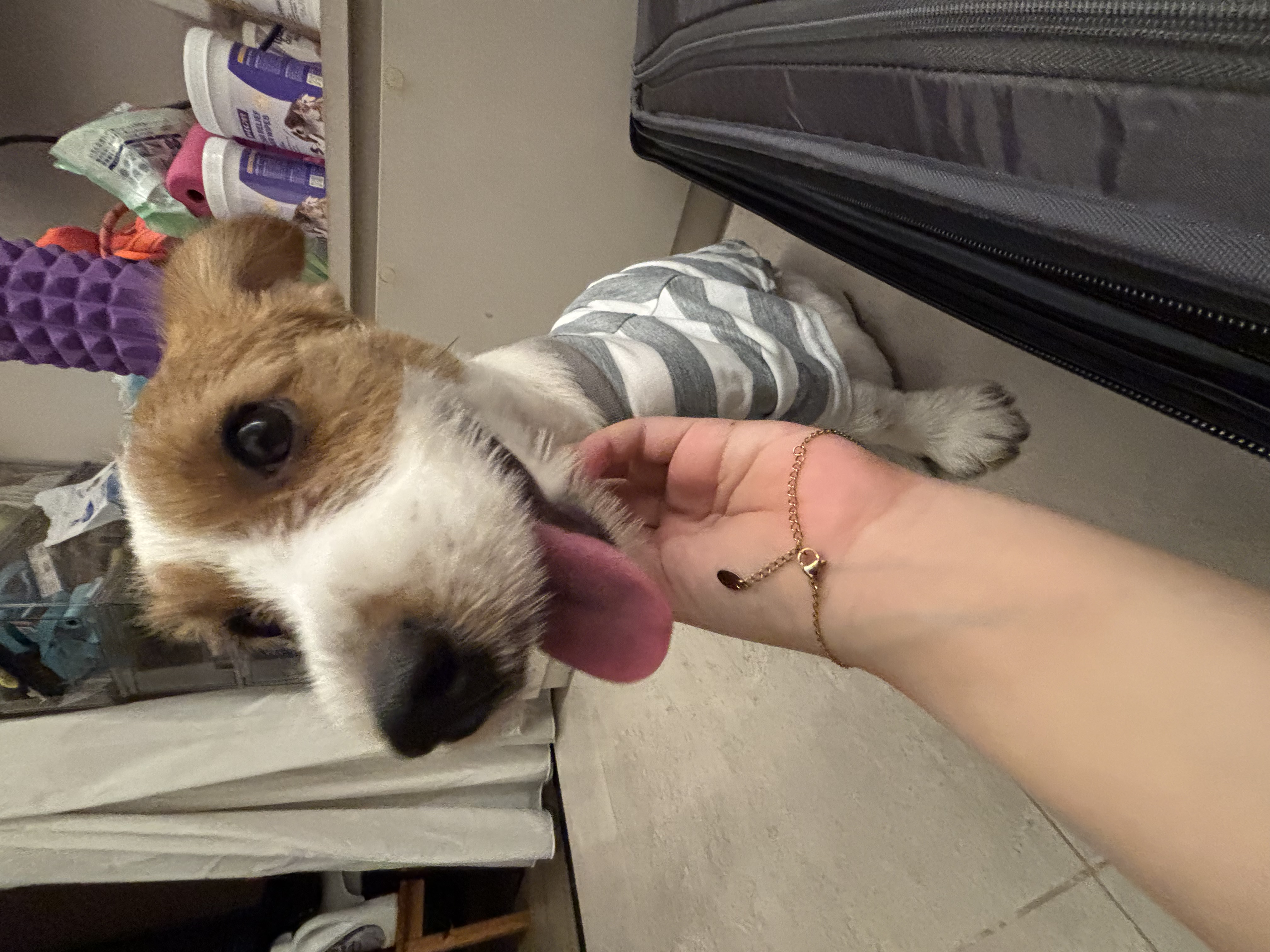 image-7