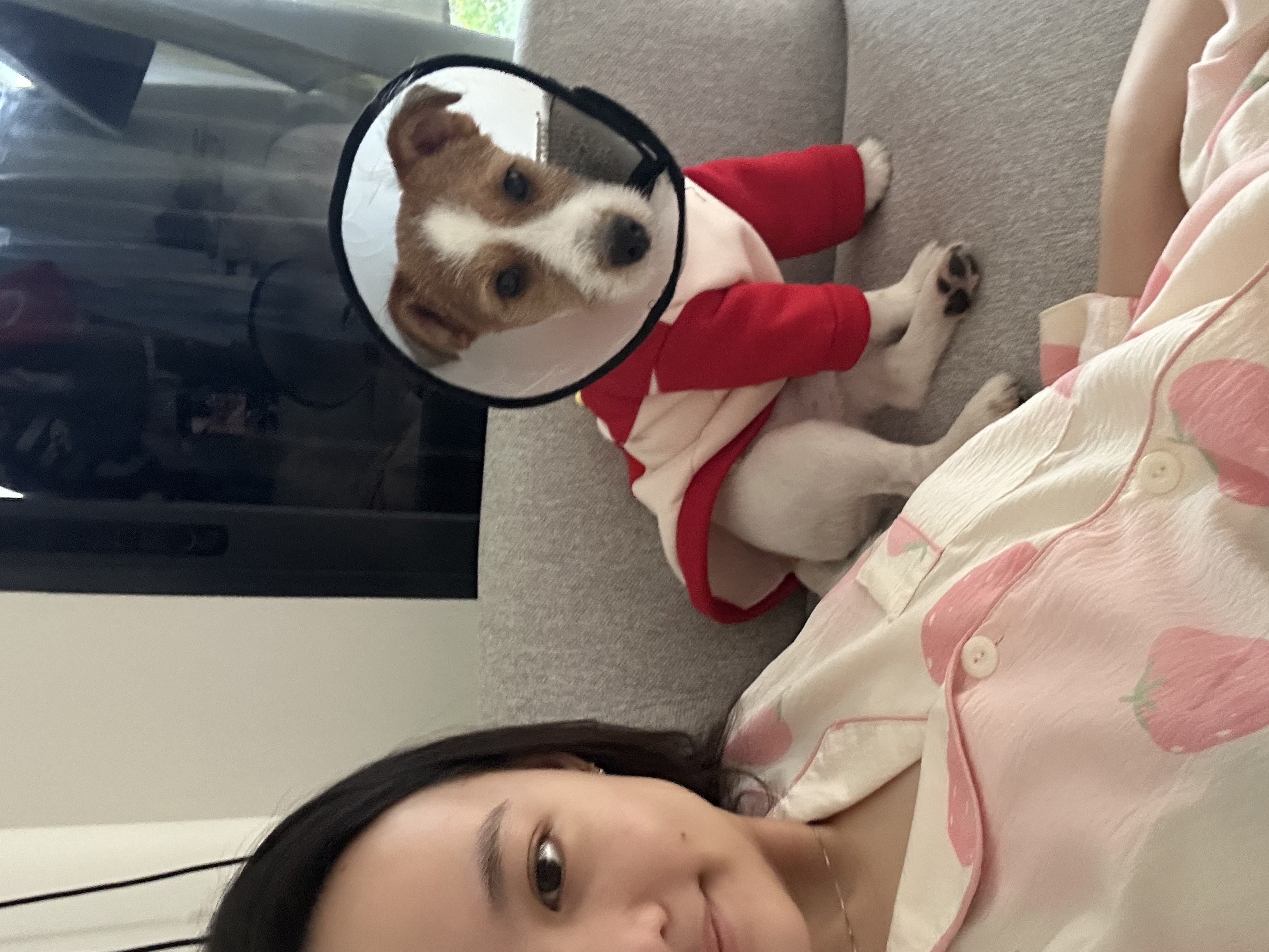 image-8