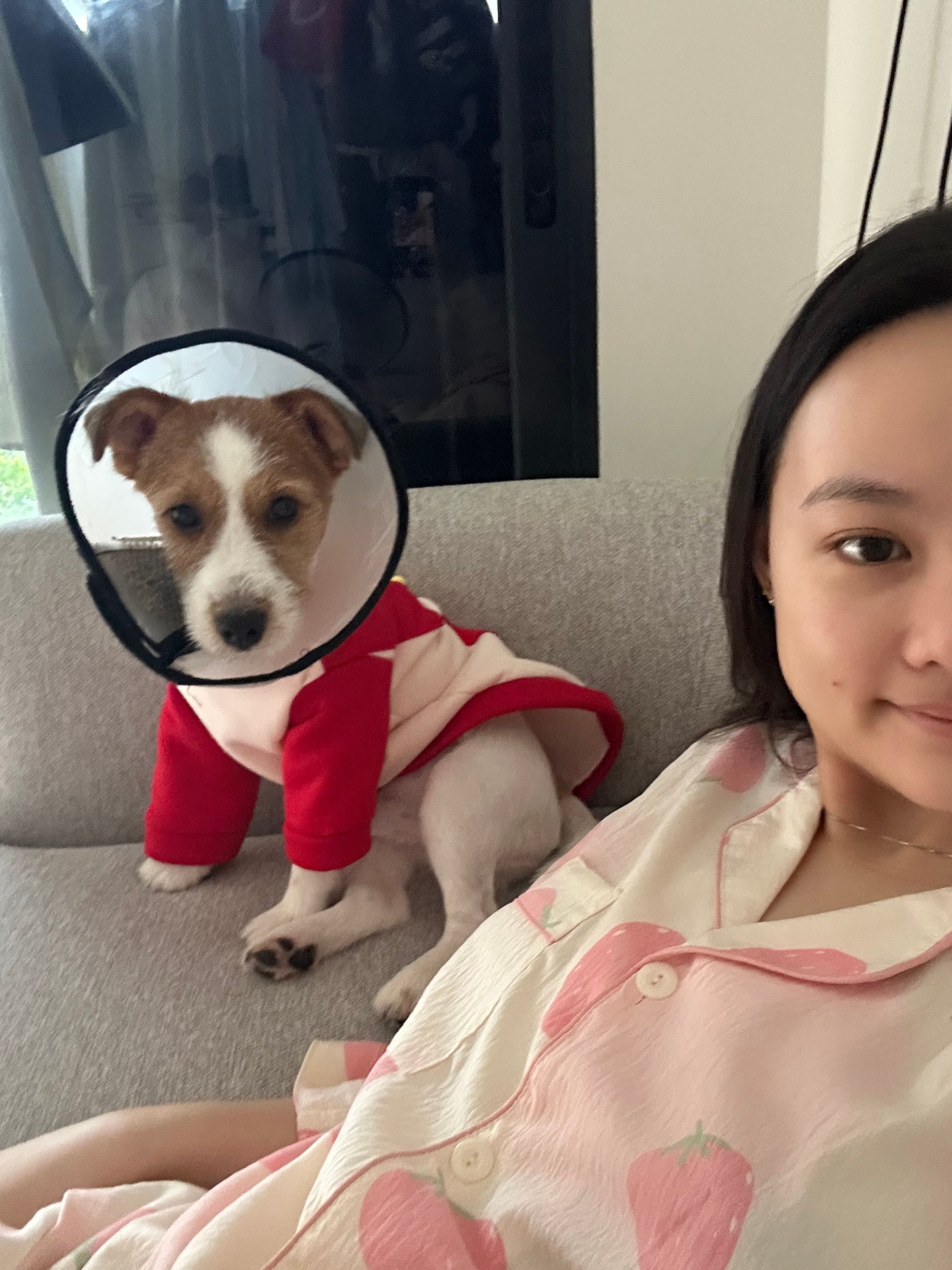 image-8