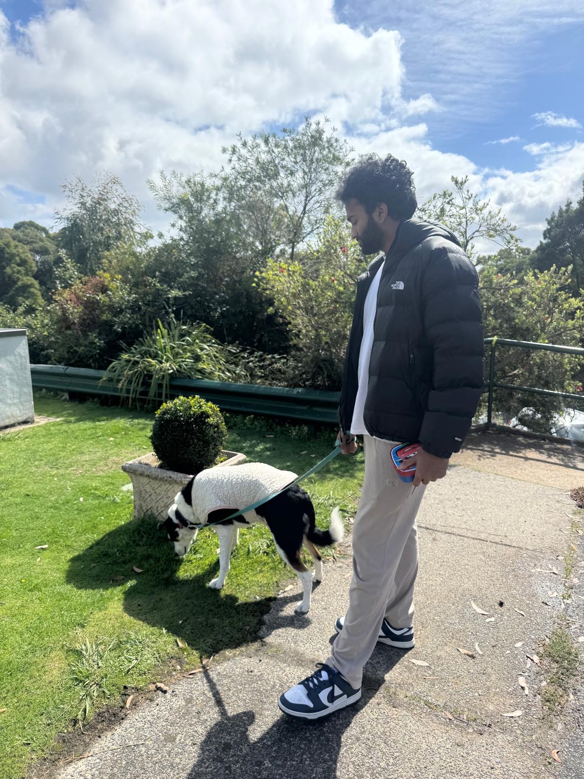 image-6