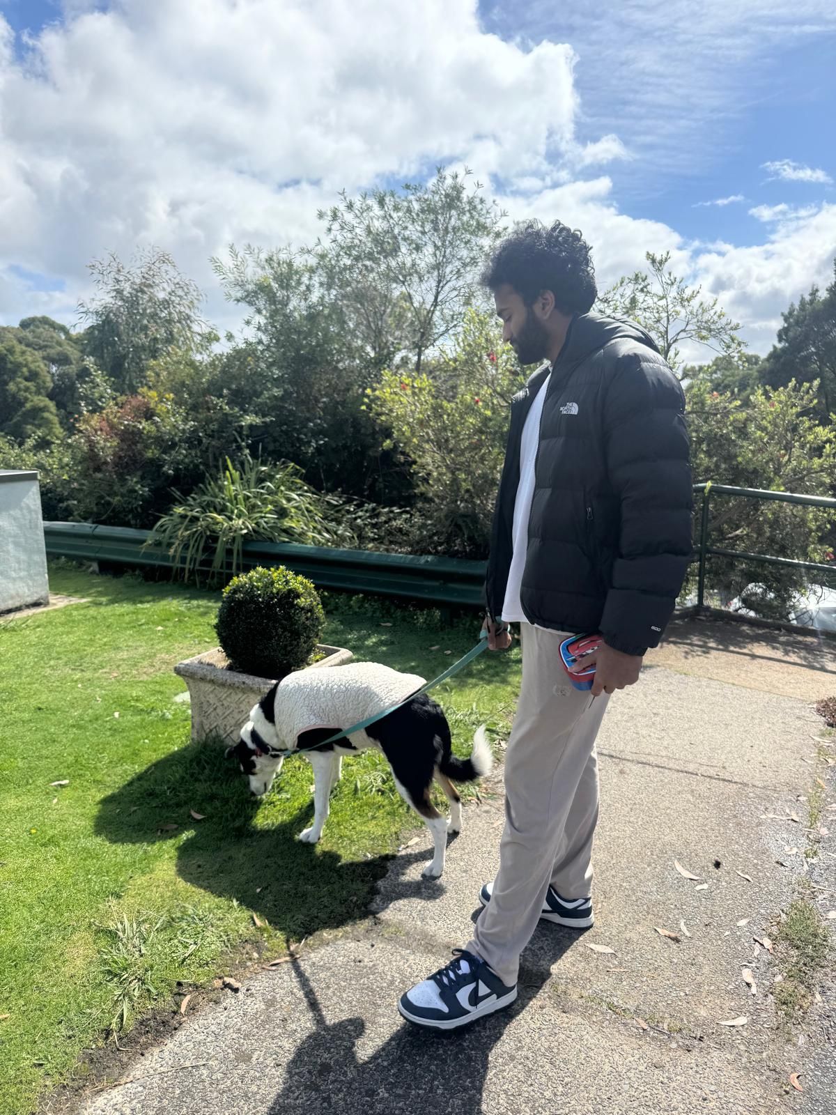 image-6