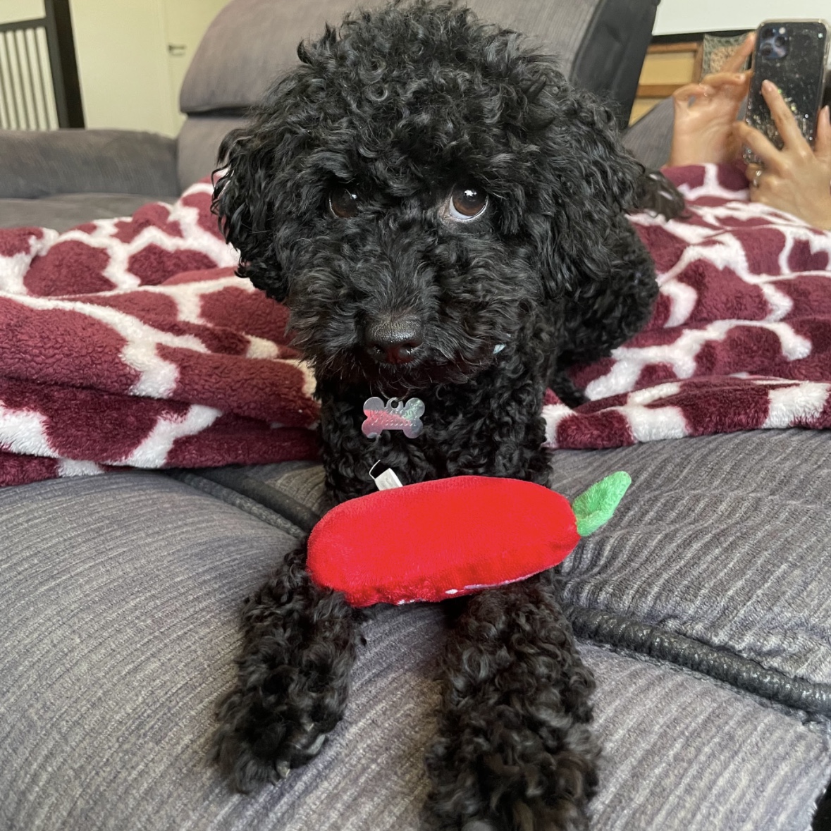 Remi