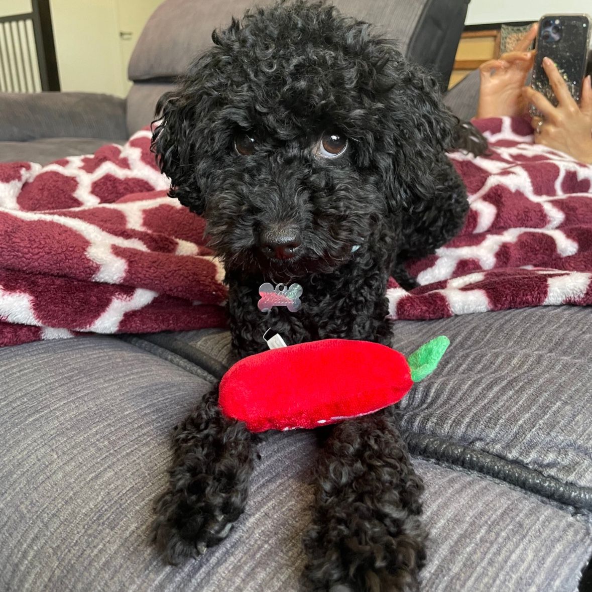 Remi