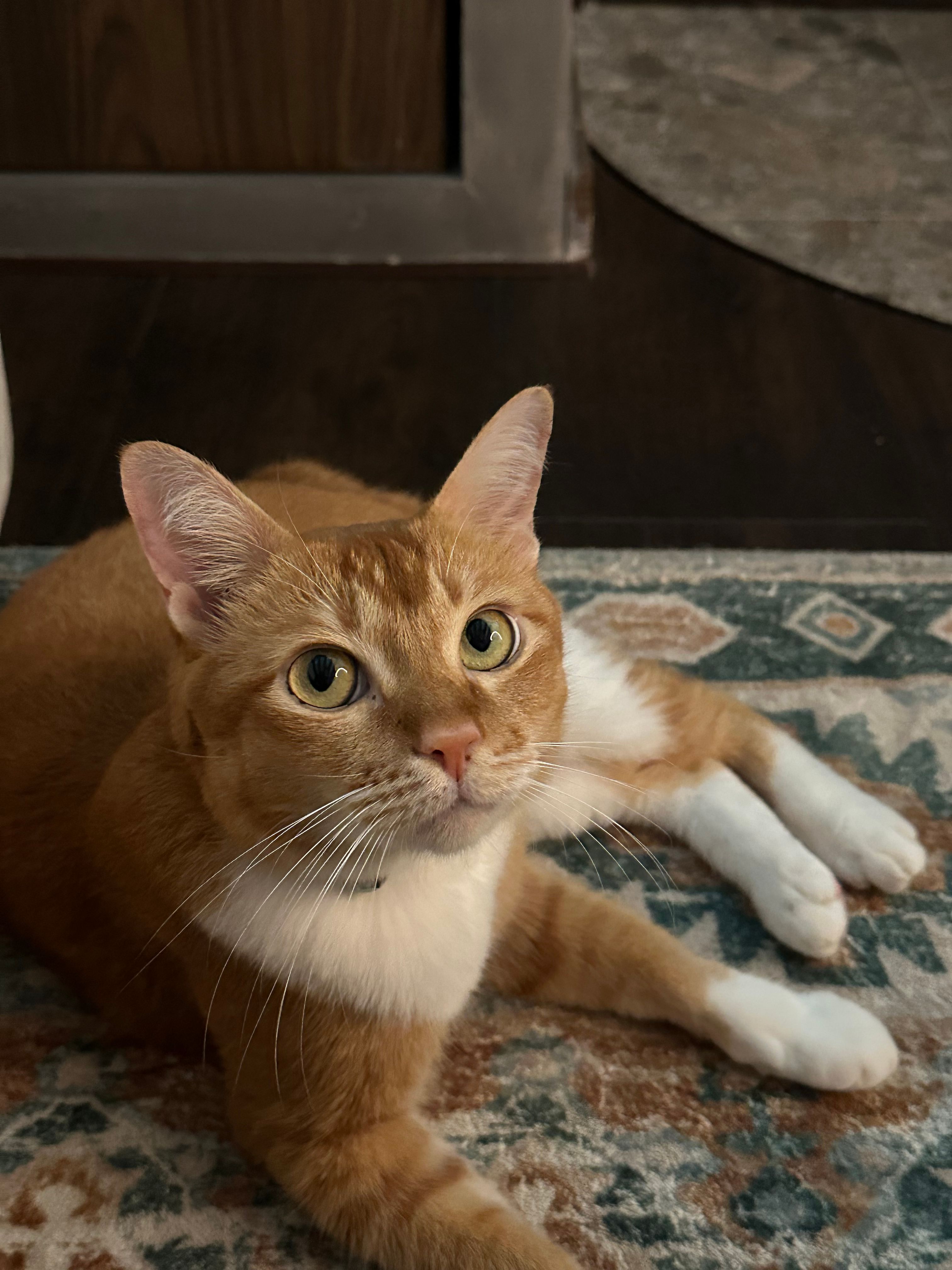 image-16