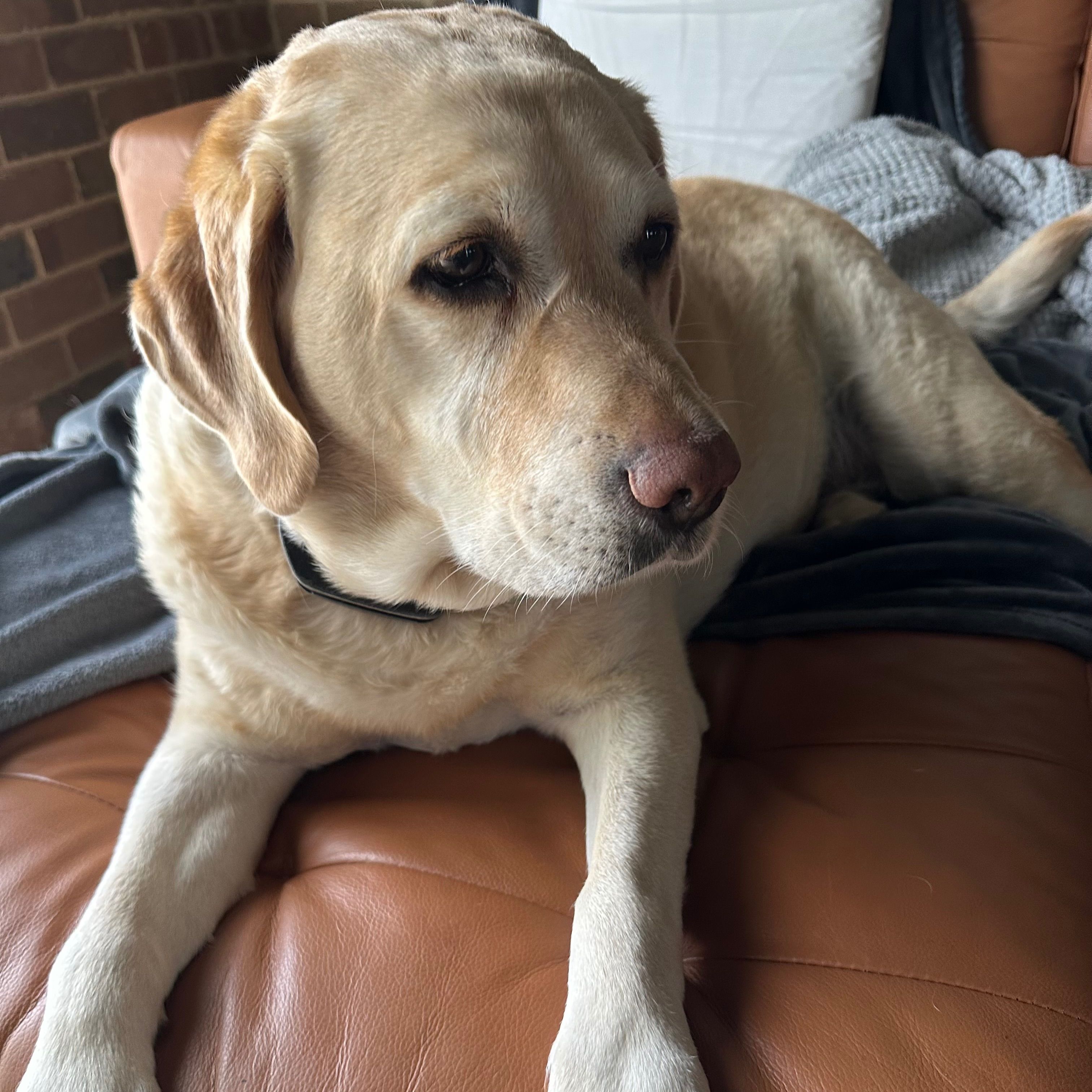 Rosie