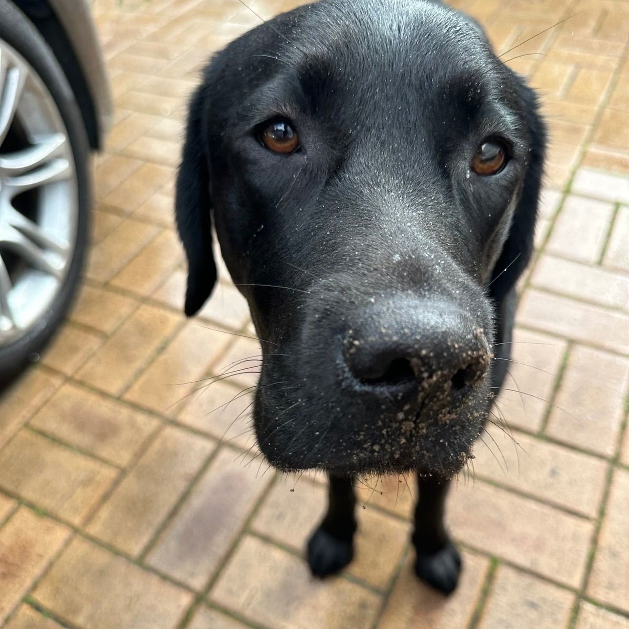 Henry