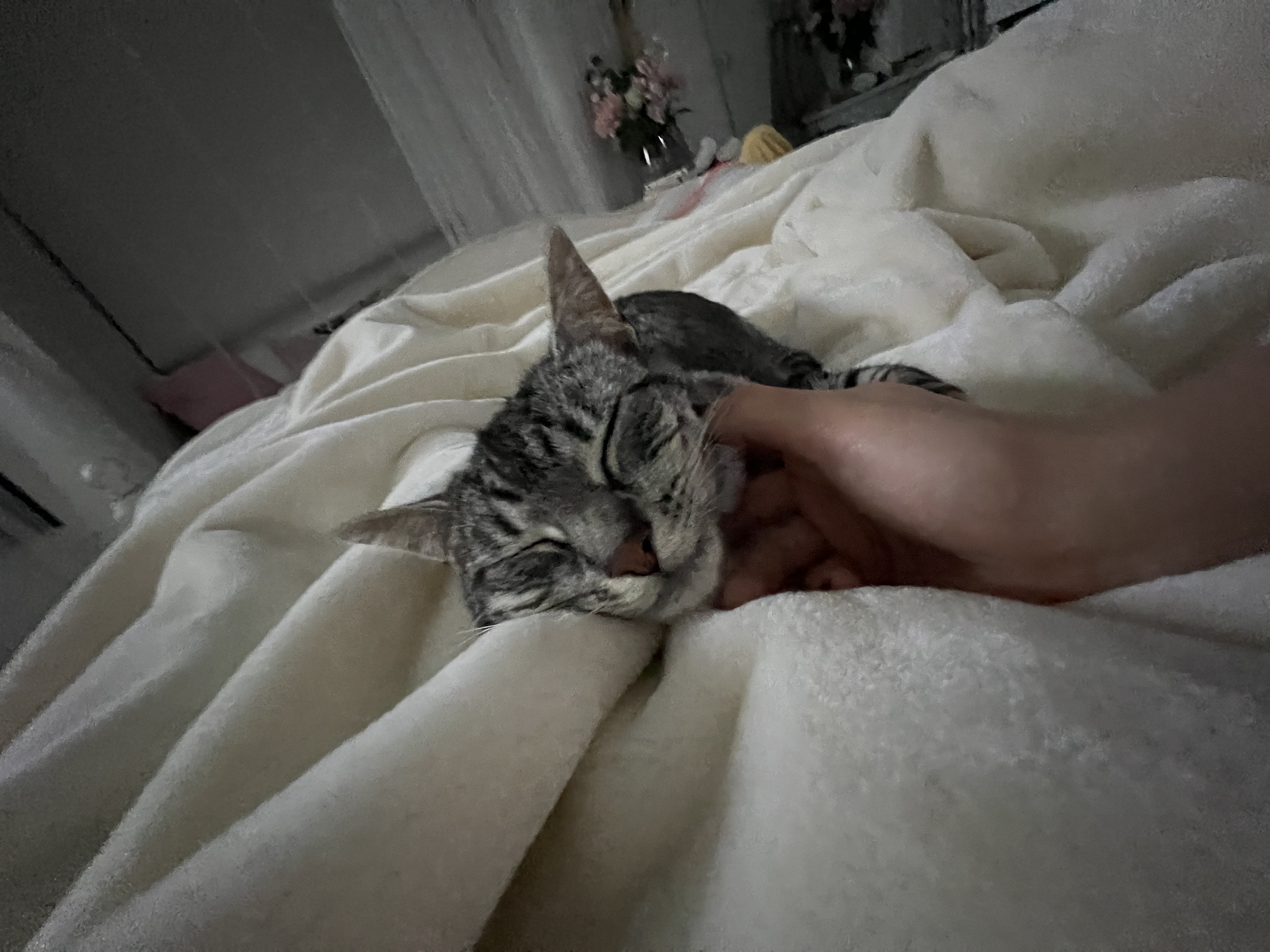 image-8