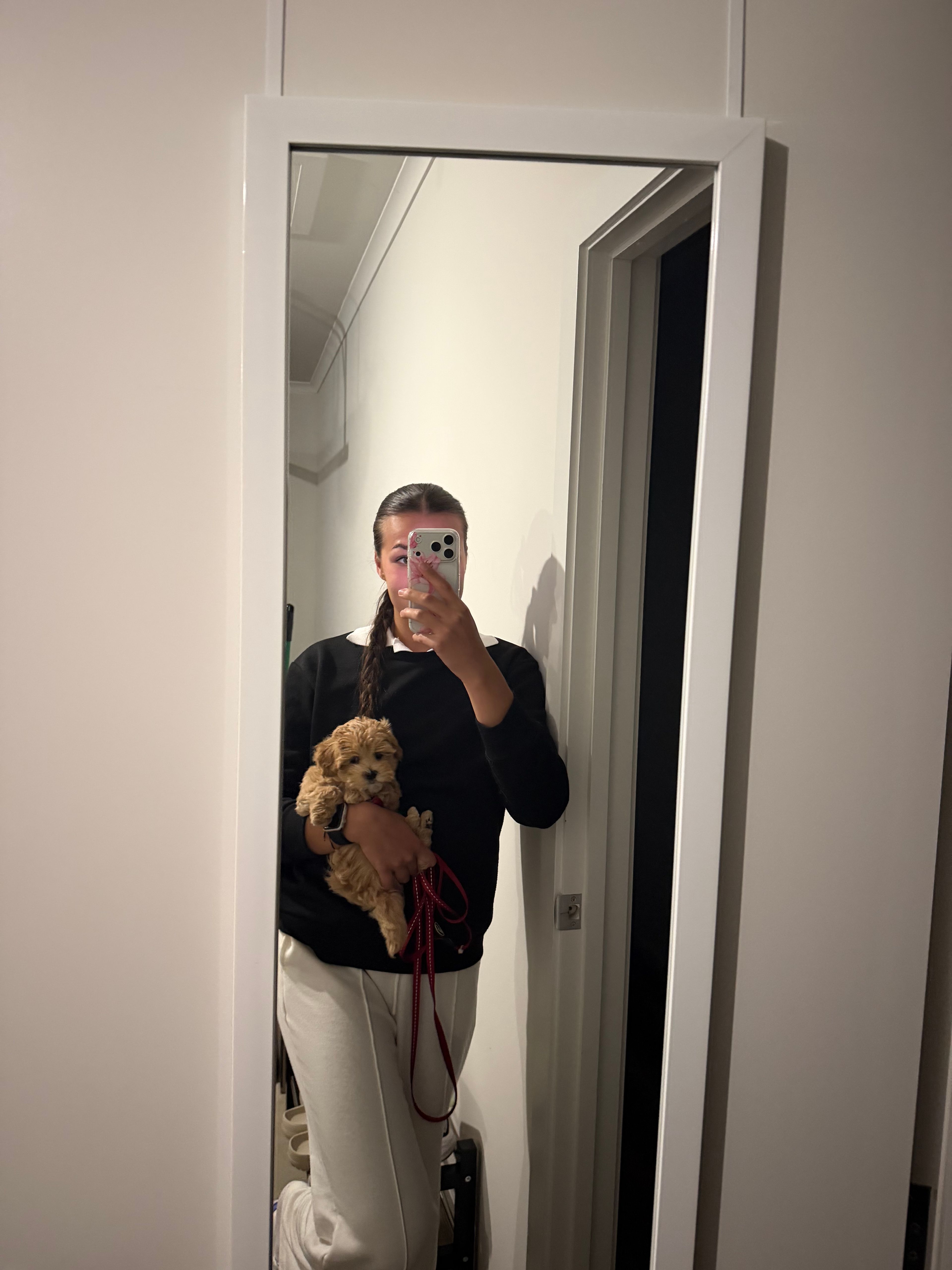 image-12