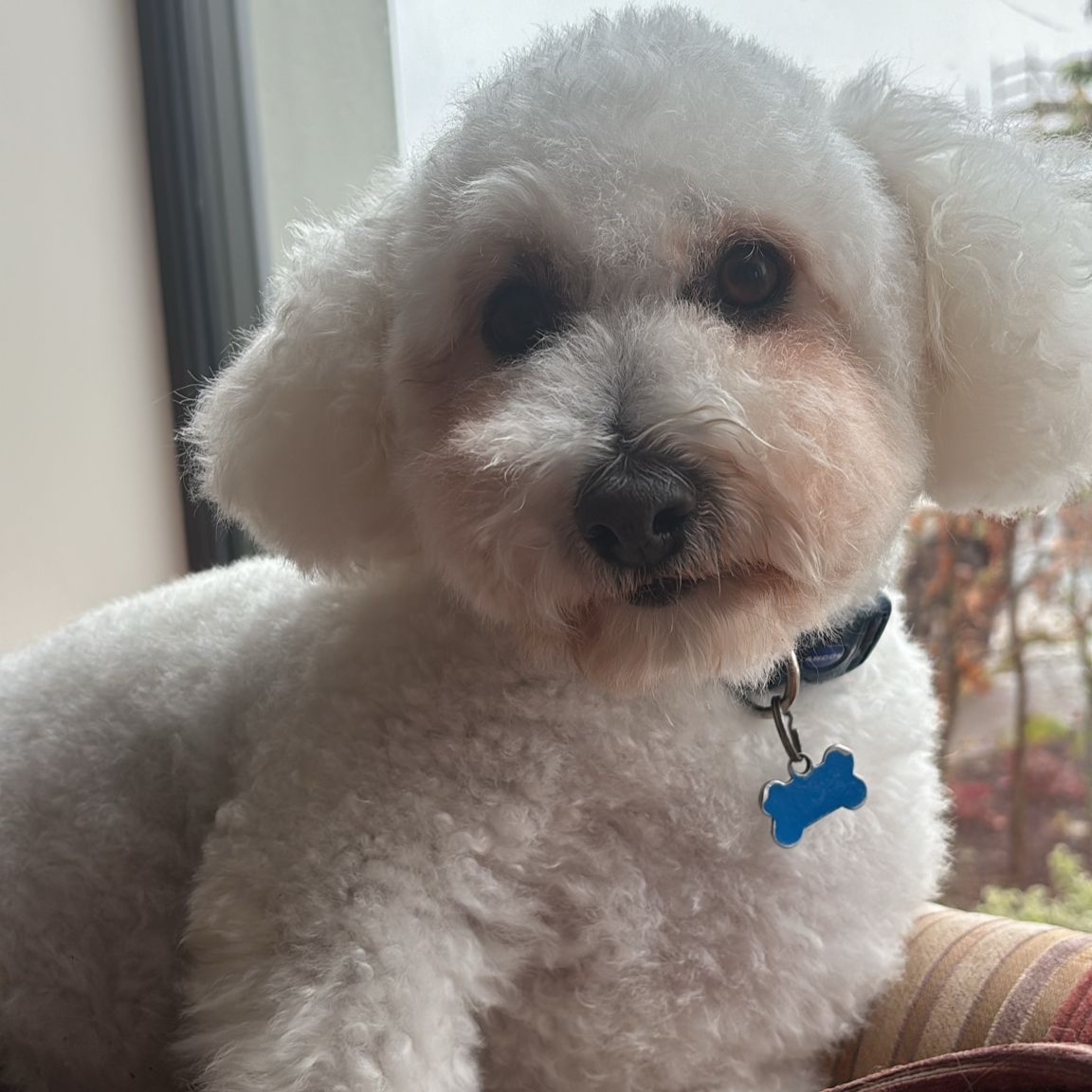 Casper 