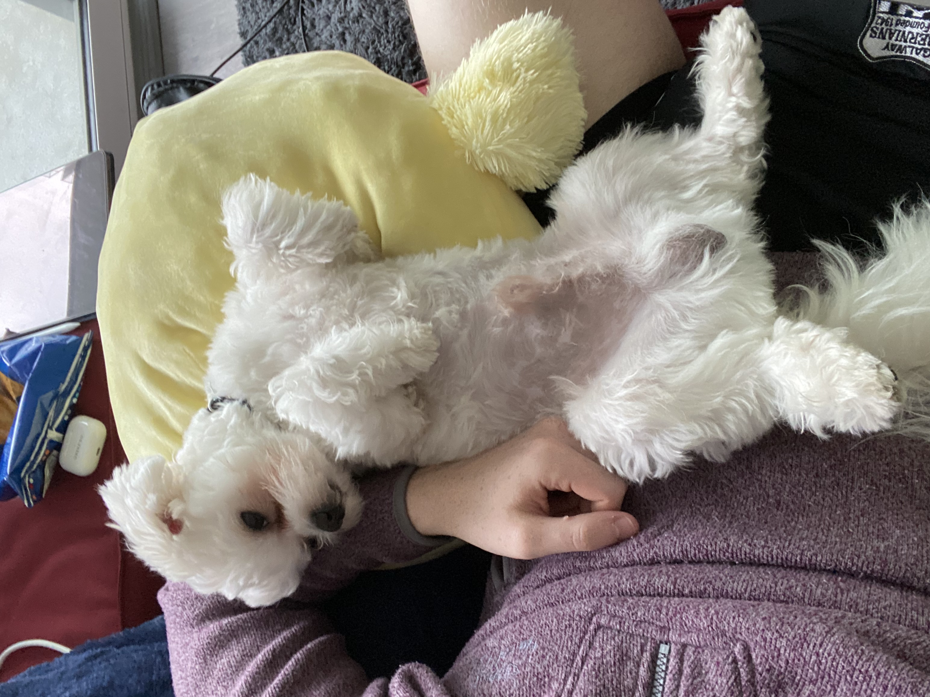 image-6
