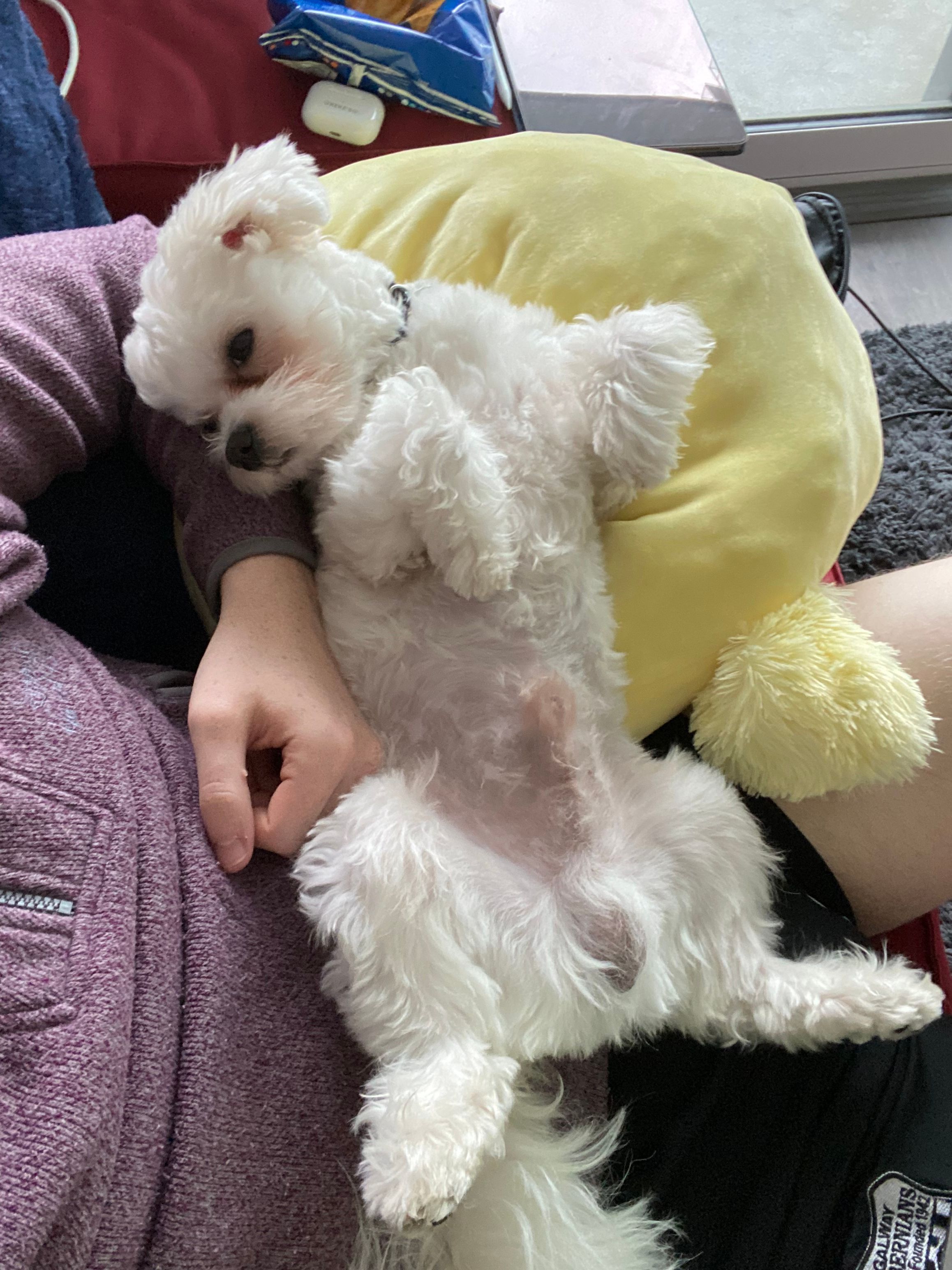 image-6