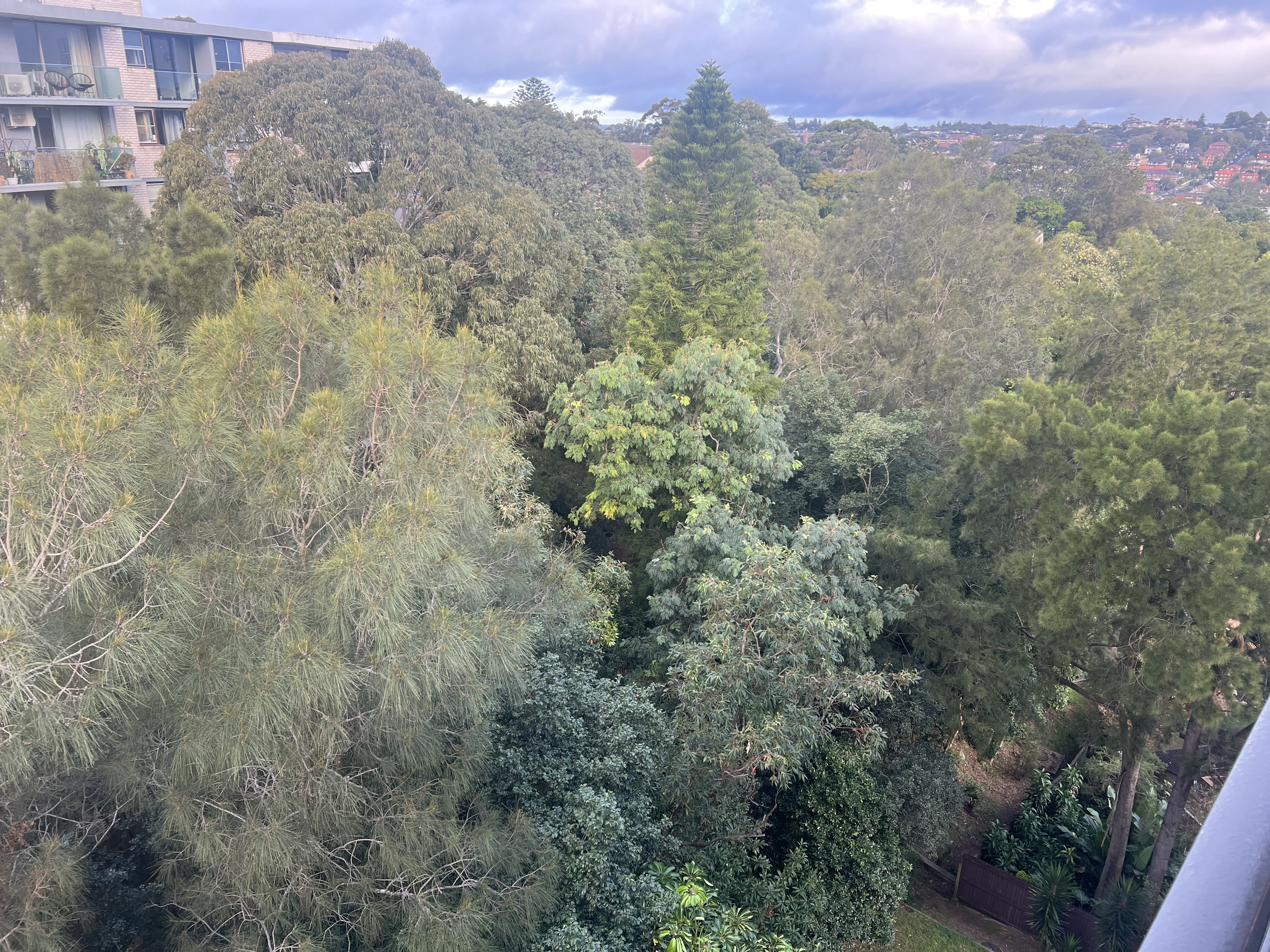 image-12