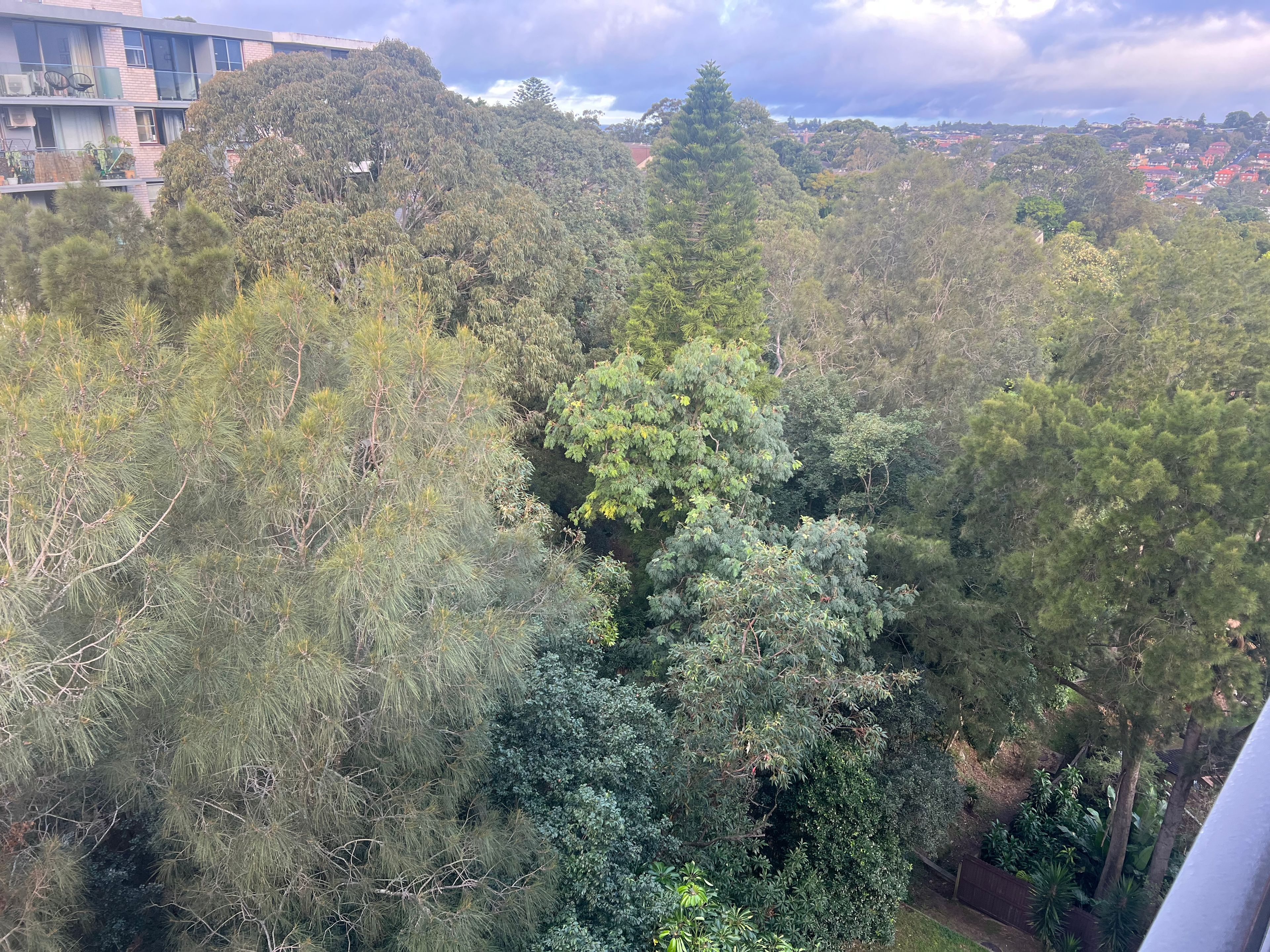 image-12