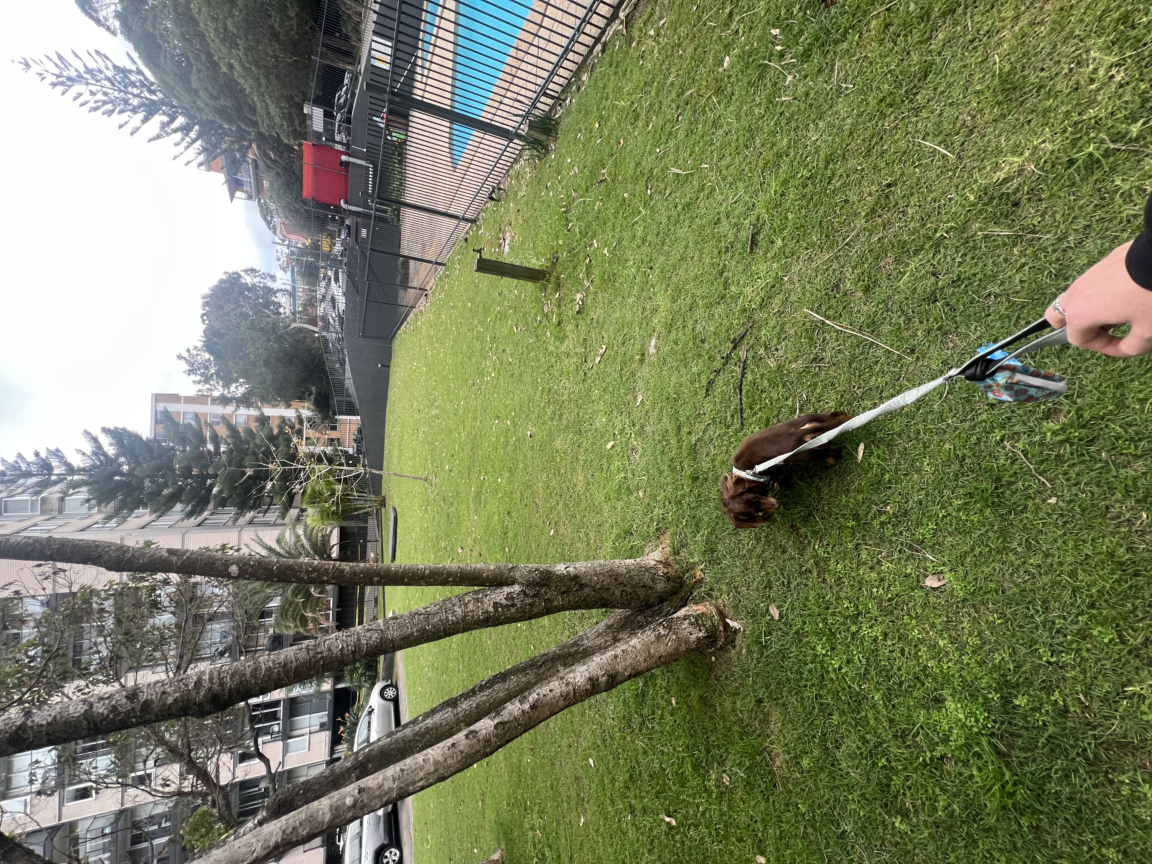 image-11