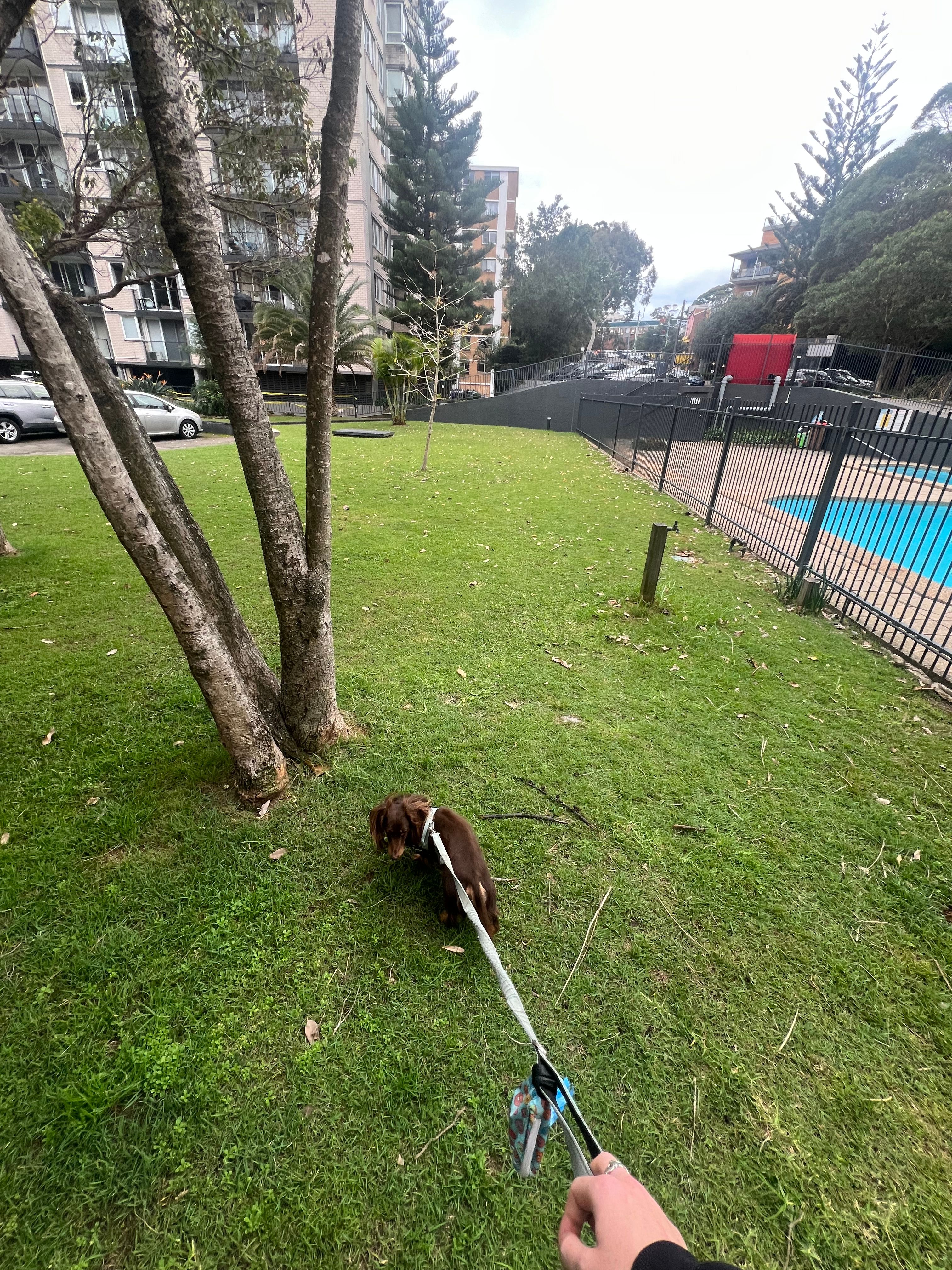 image-11