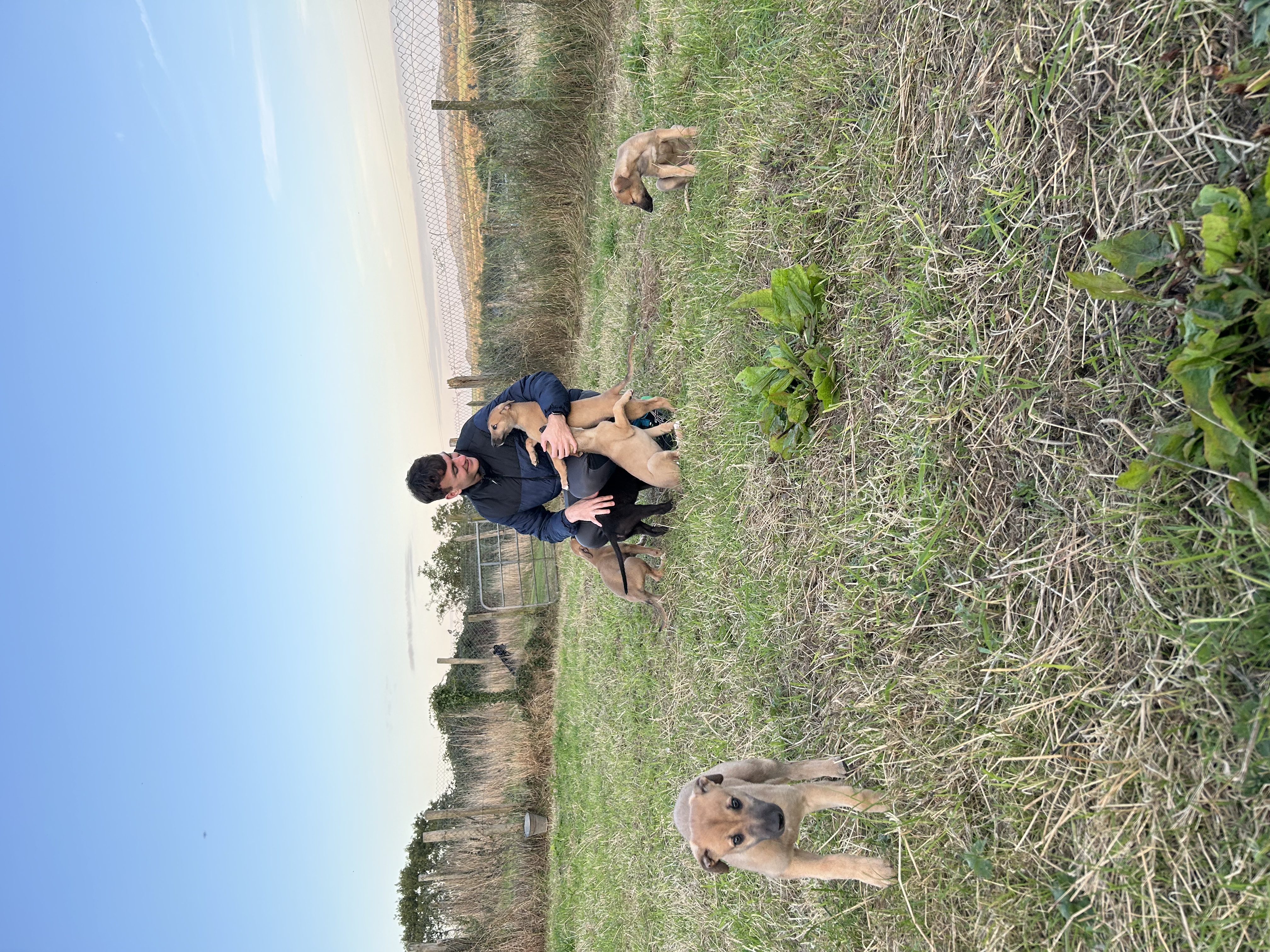 image-7