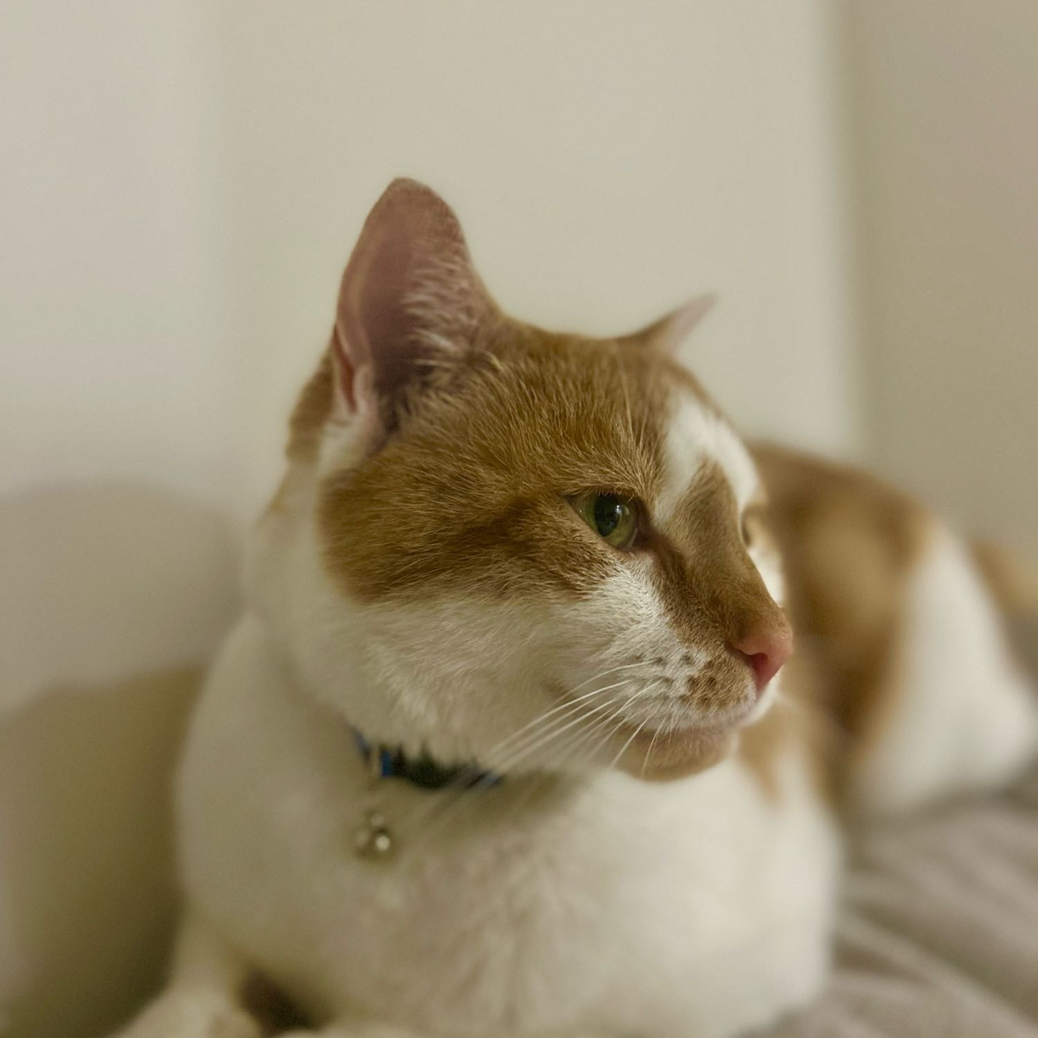 Lenny