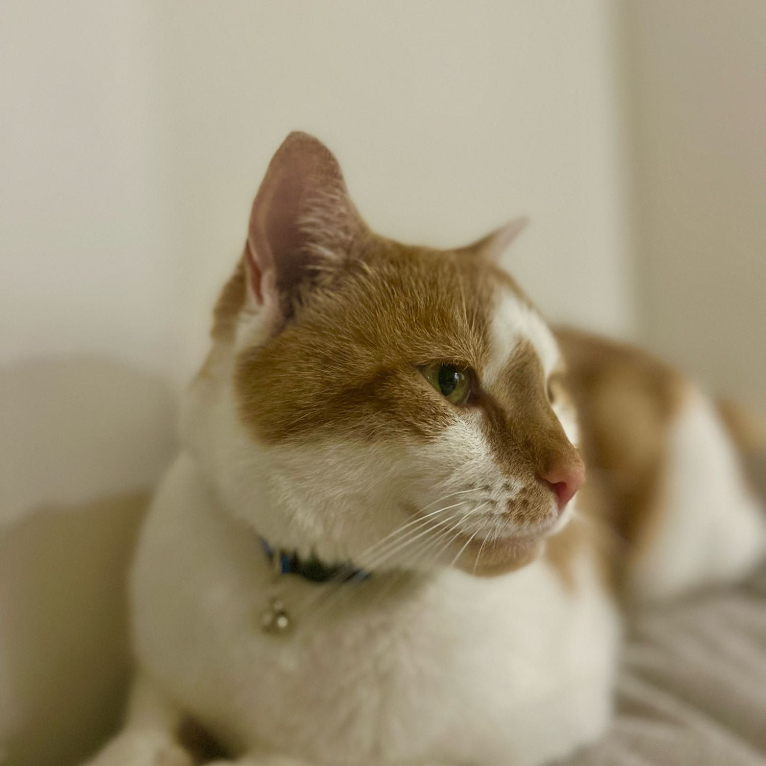 Lenny