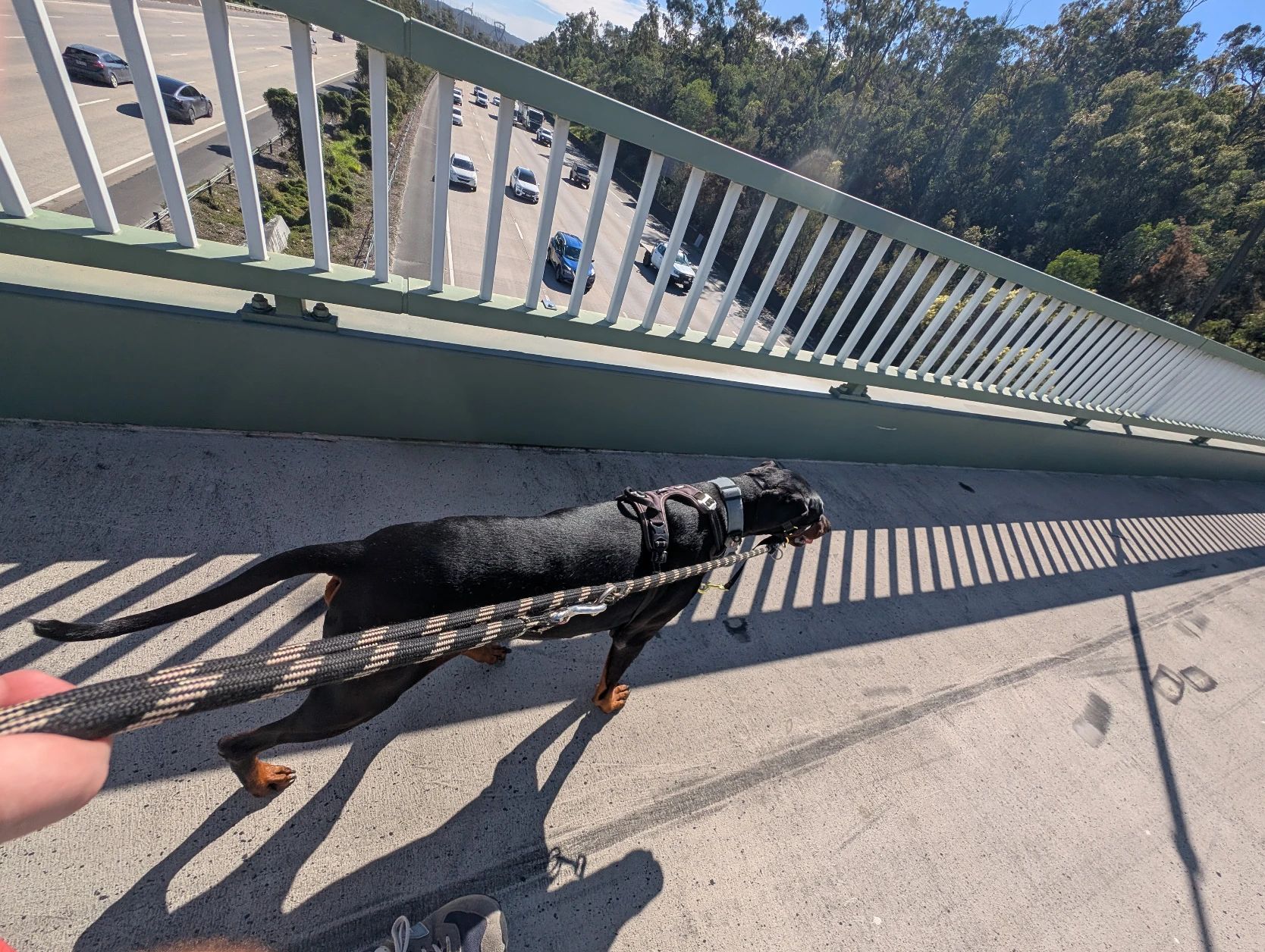 image-6
