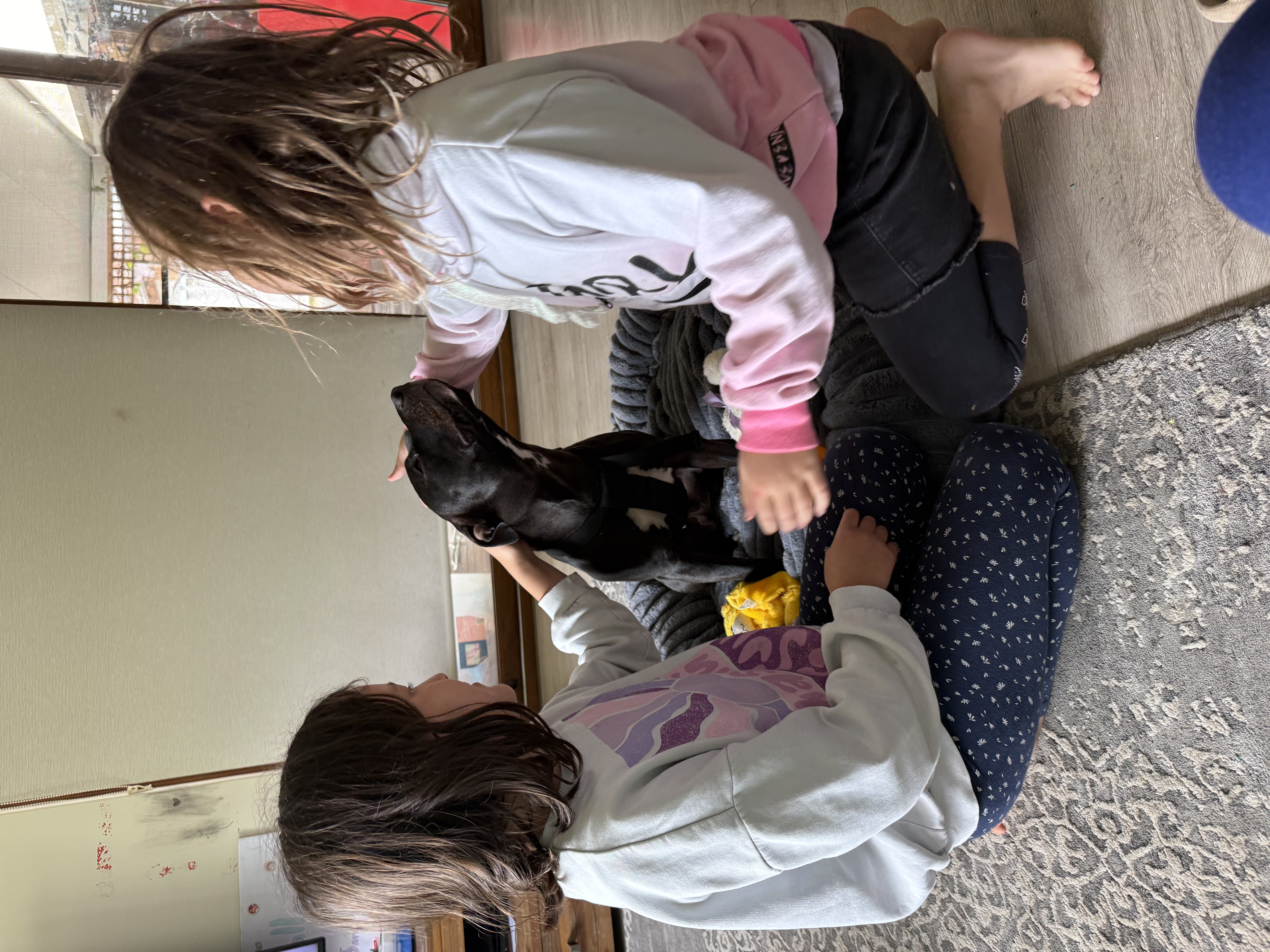 image-12