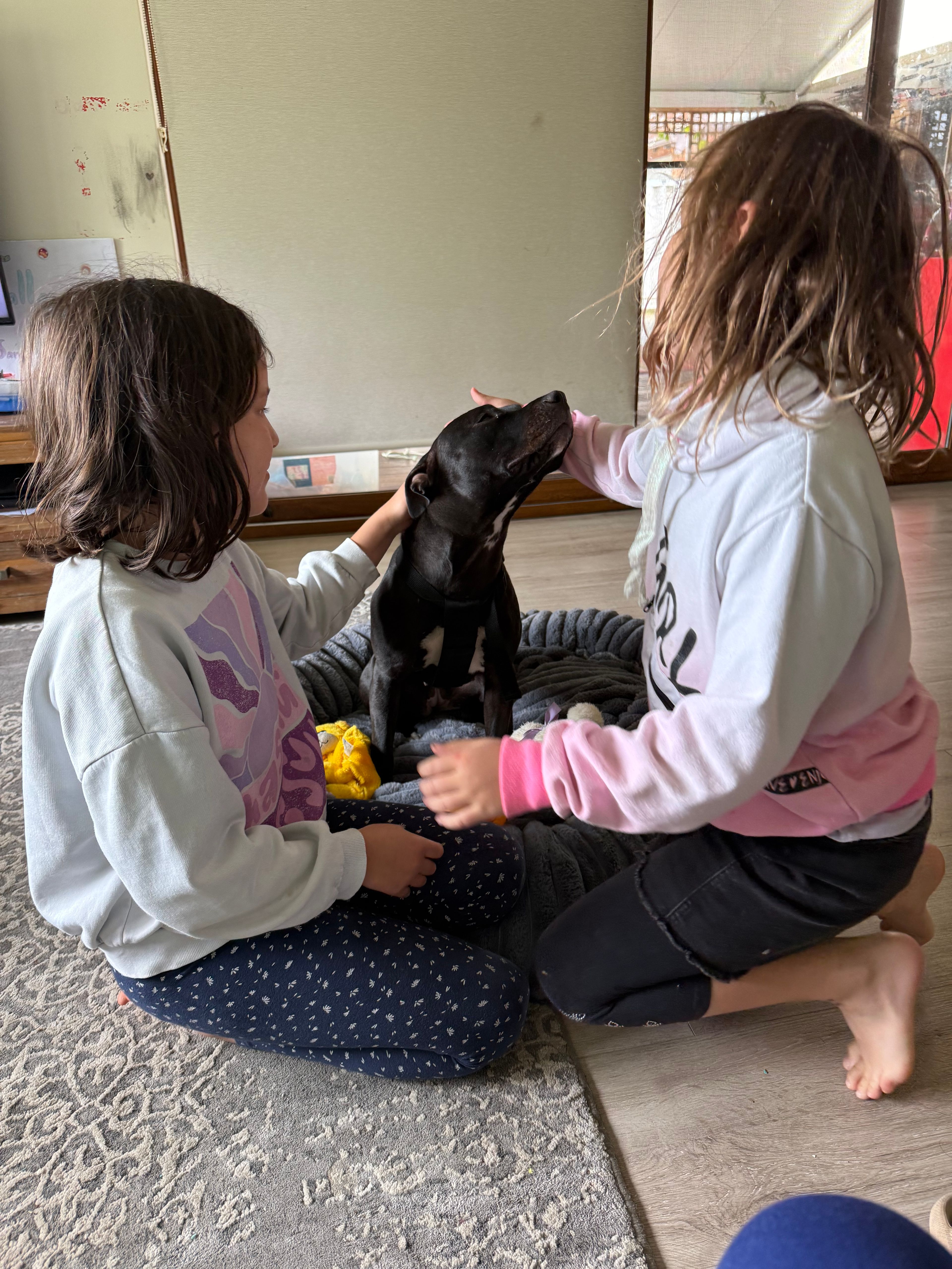 image-12