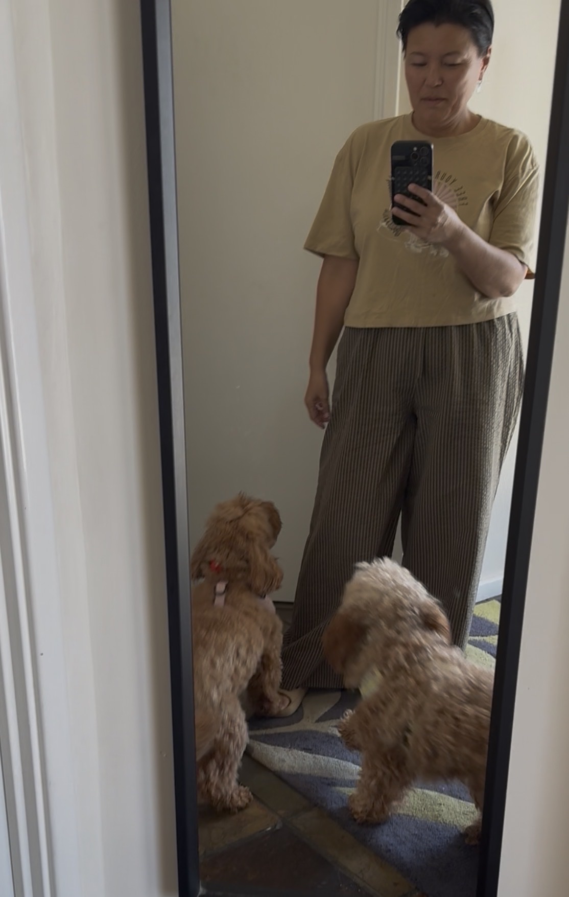 image-7