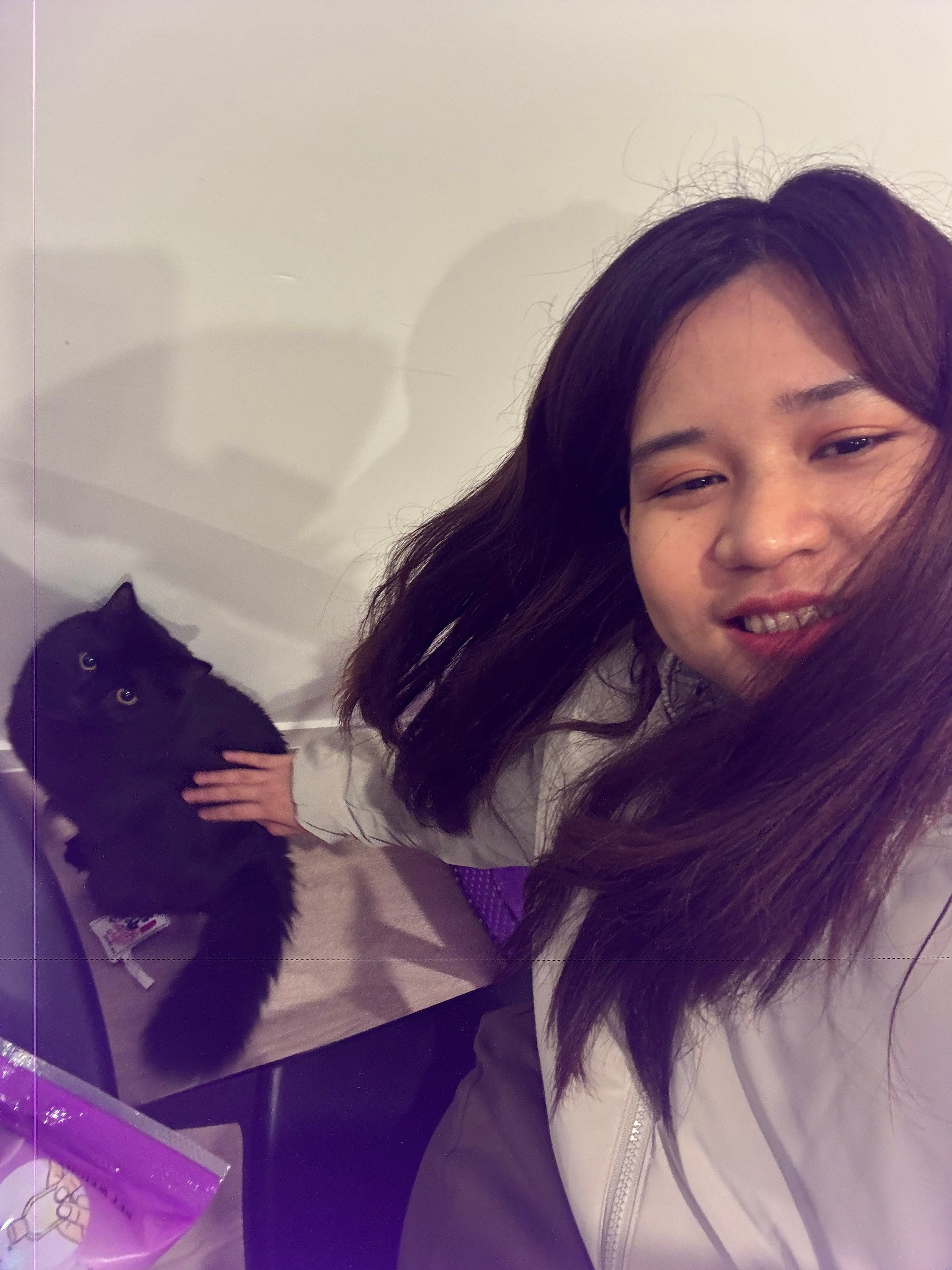 image-11