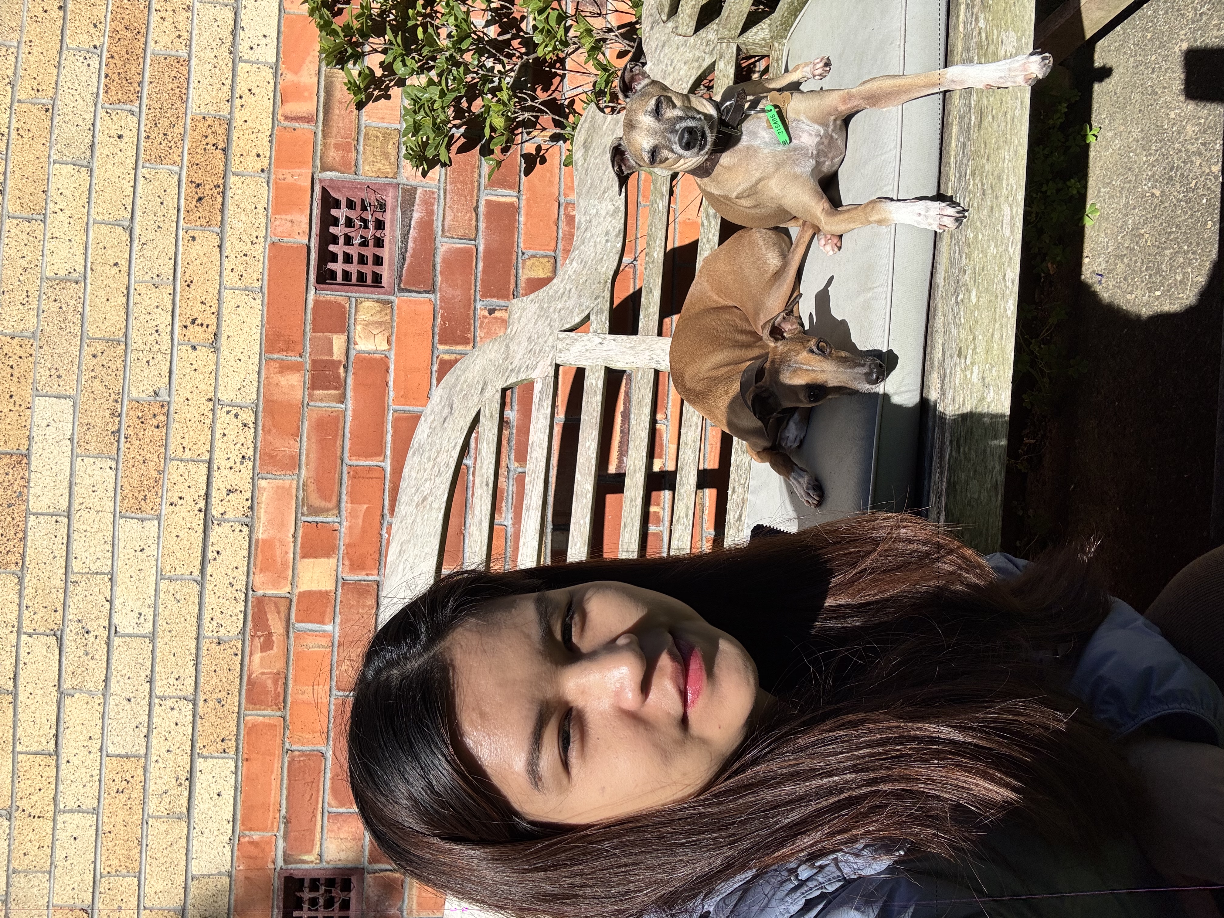 image-11