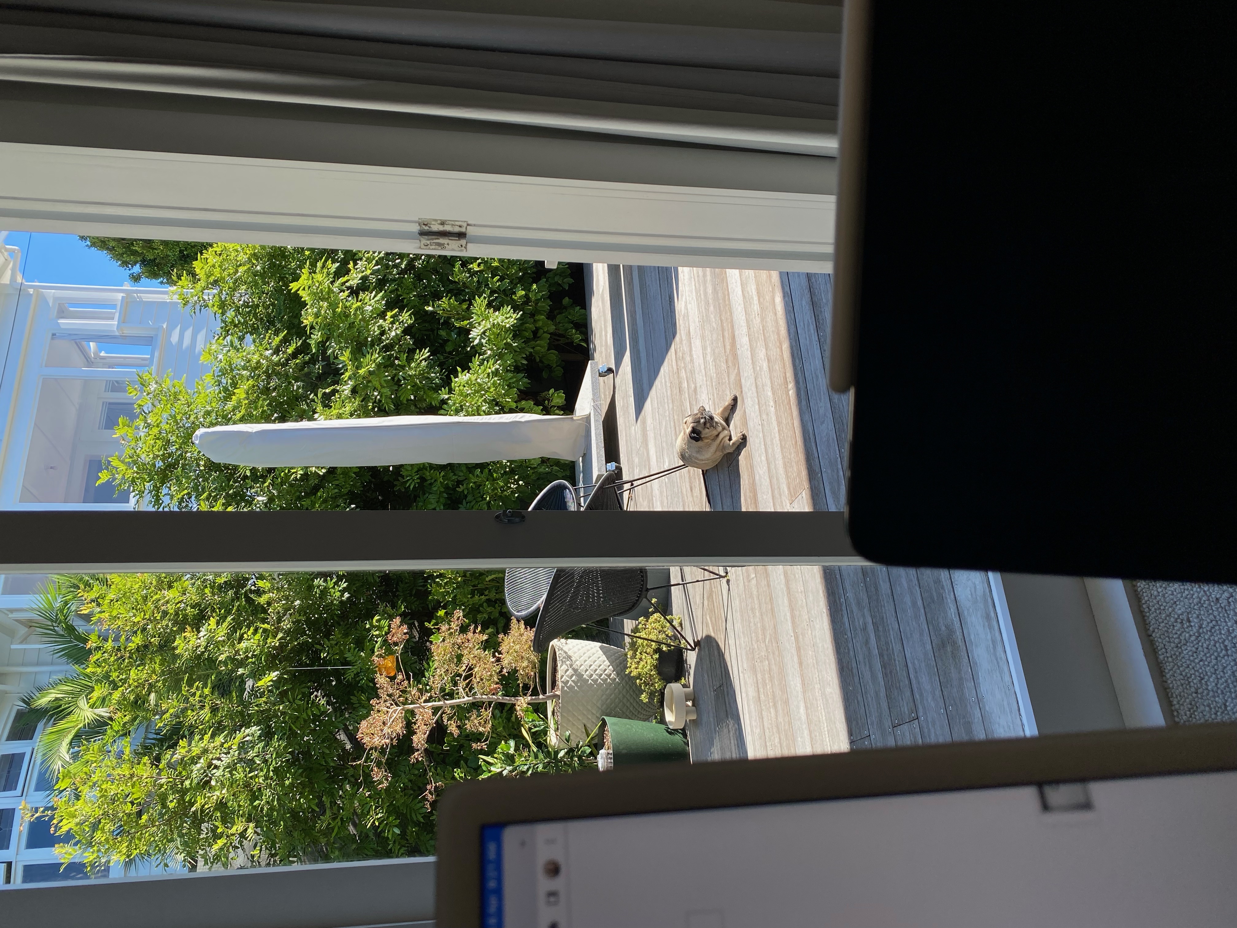 image-13