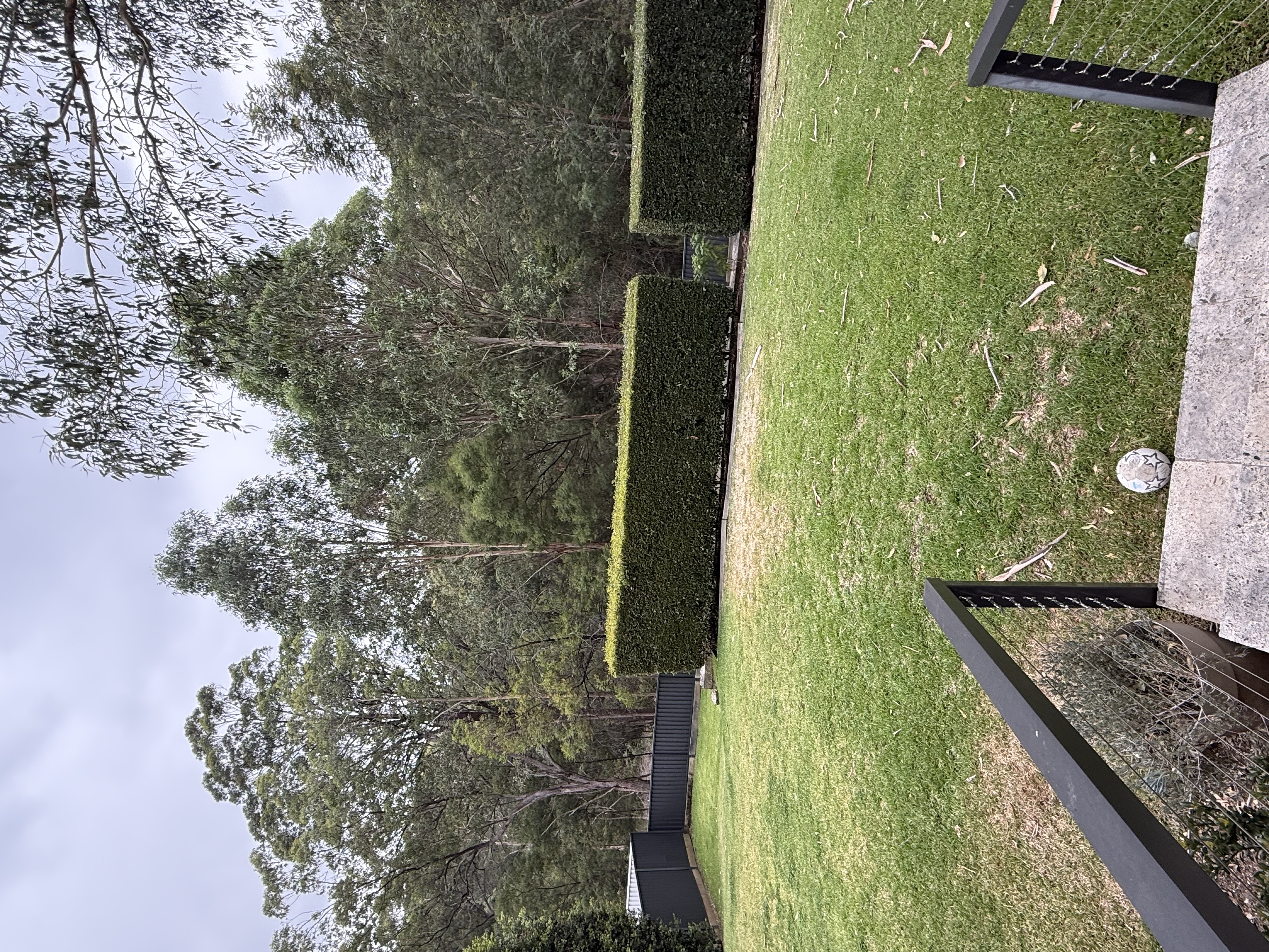image-7