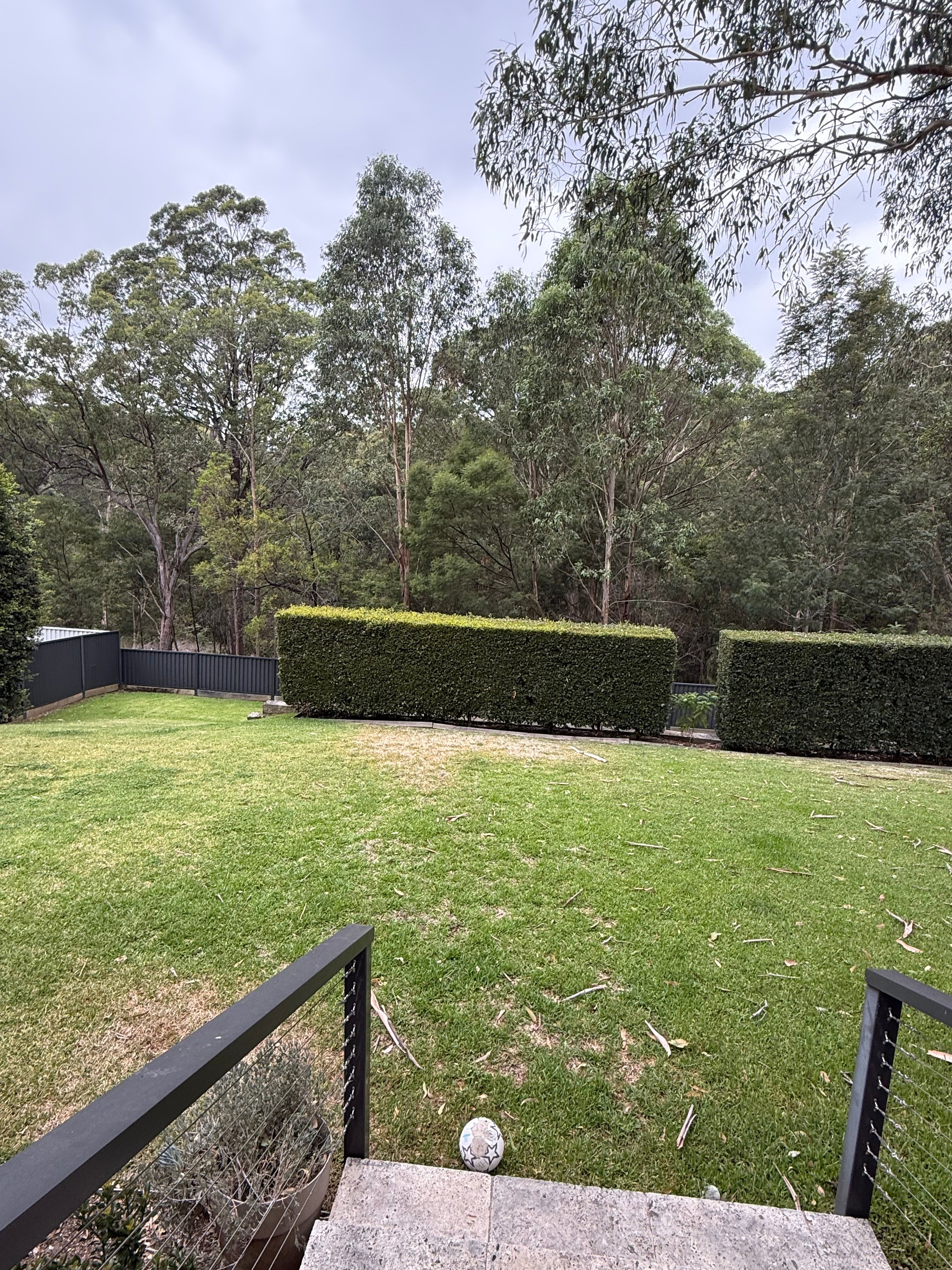 image-7