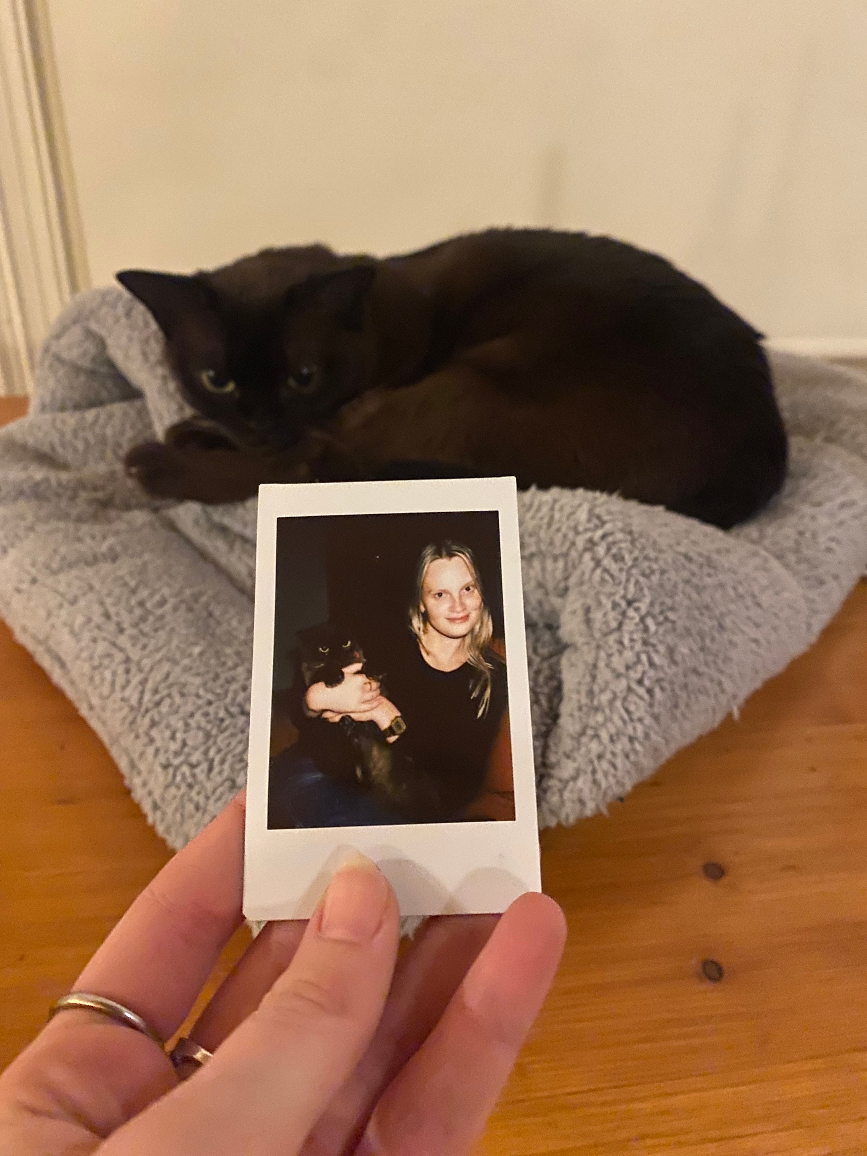 image-13