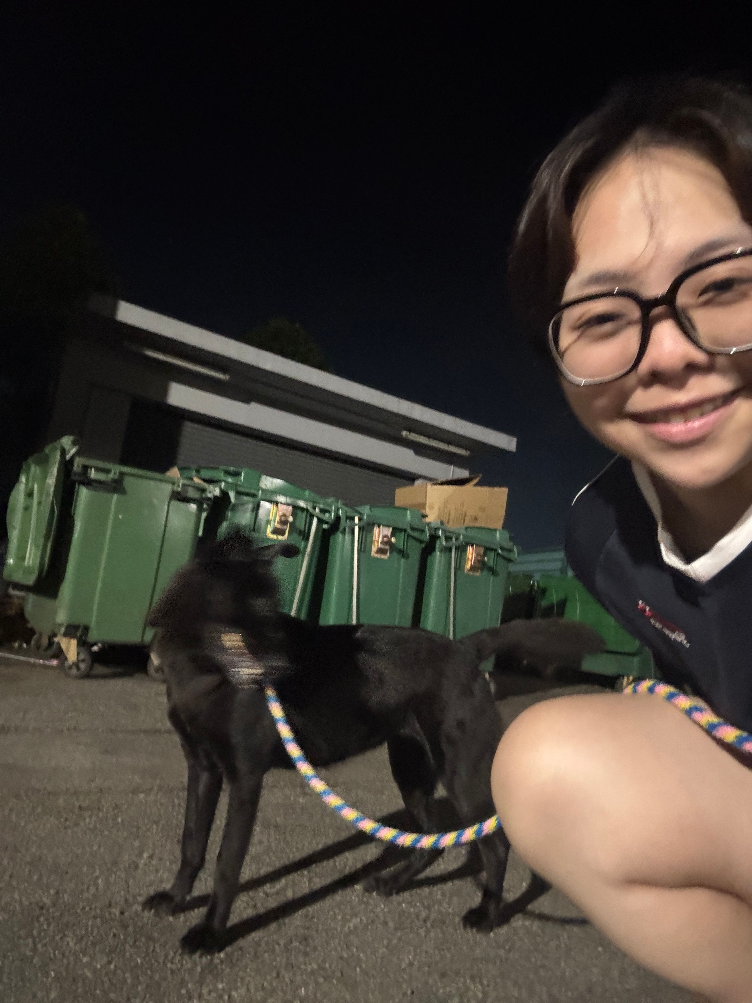 image-3