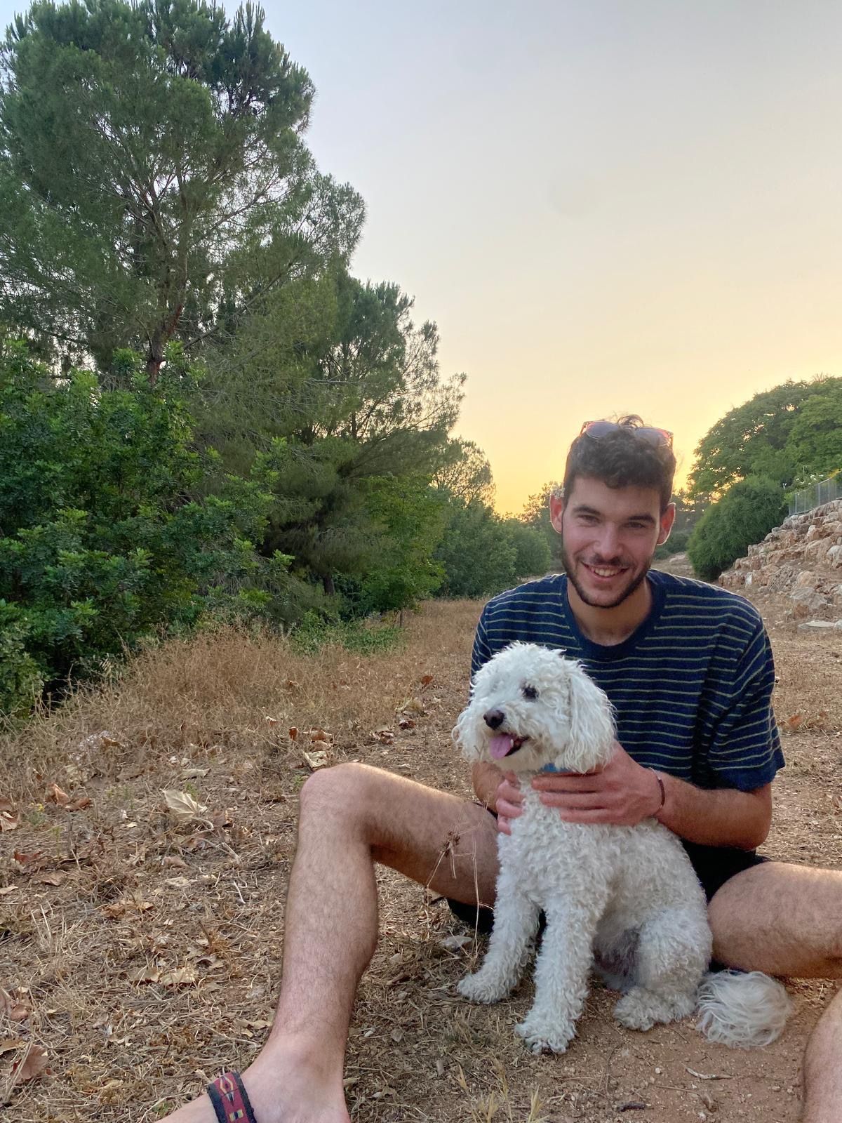 image-8