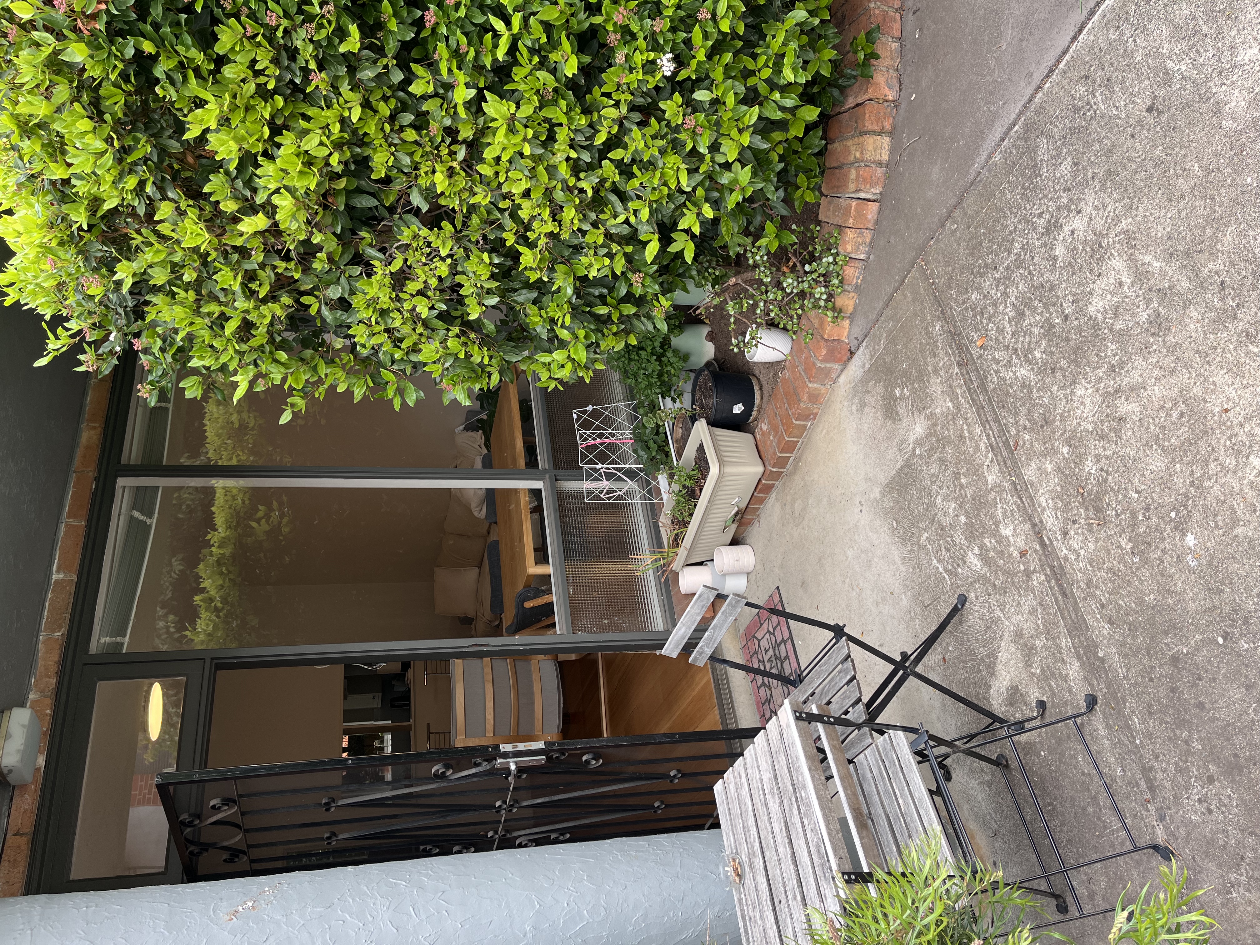 image-19