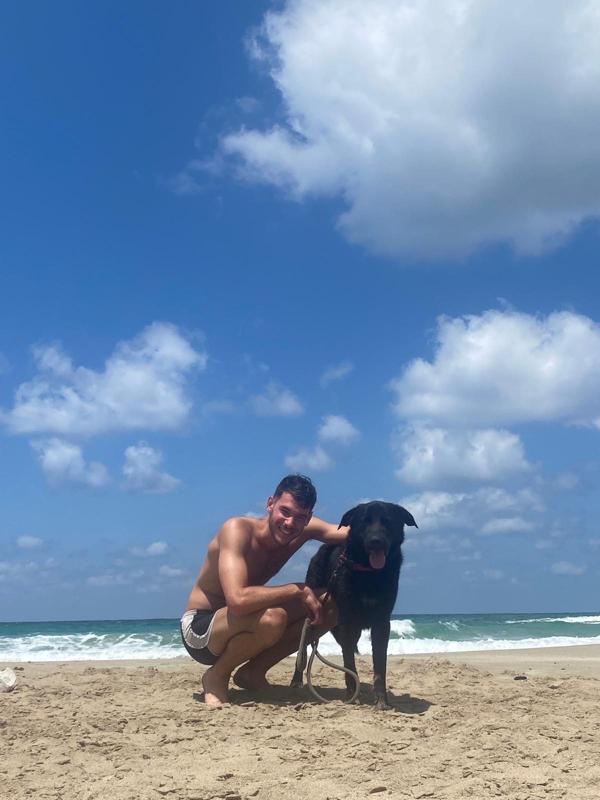 image-10
