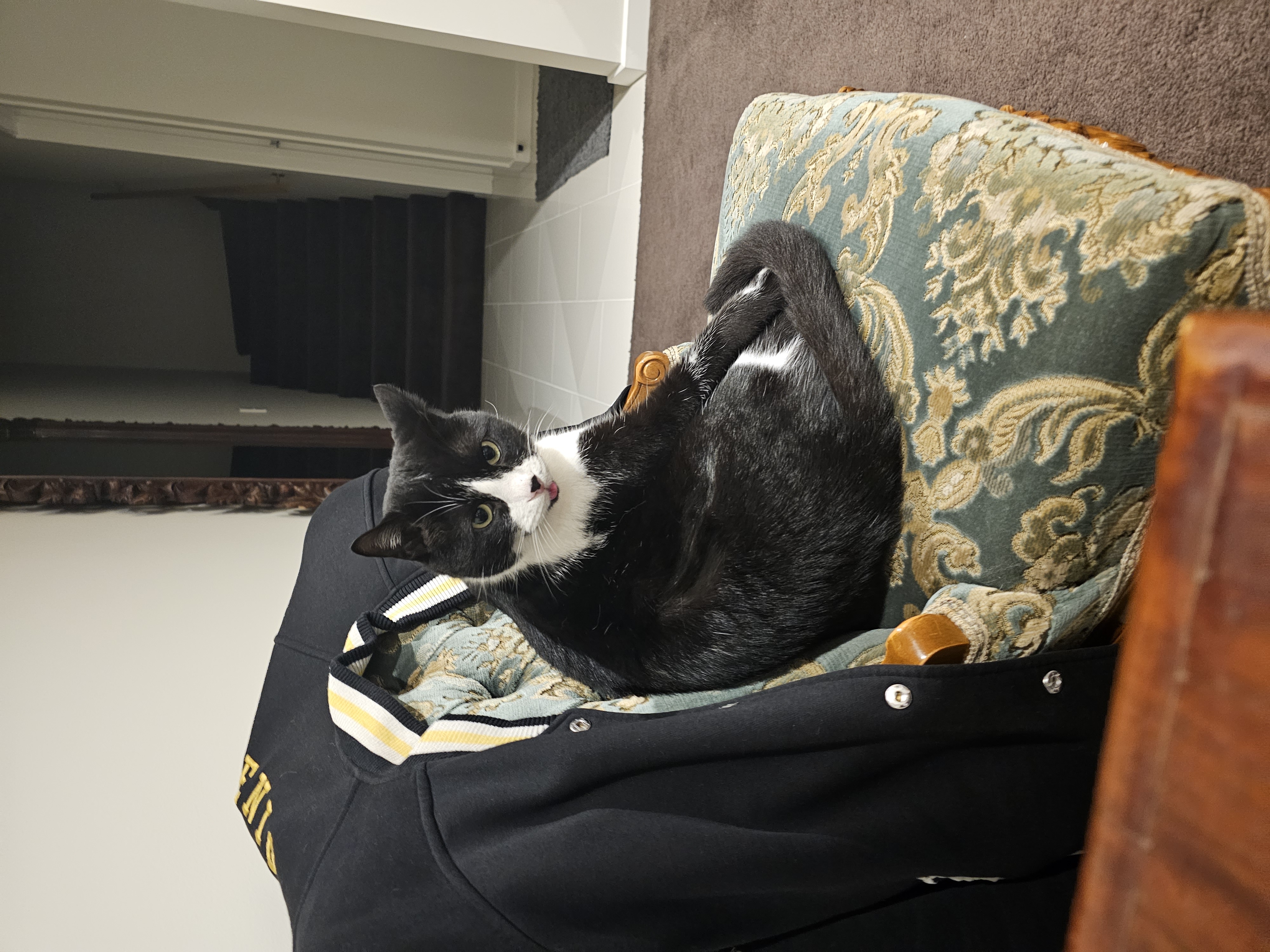 image-7