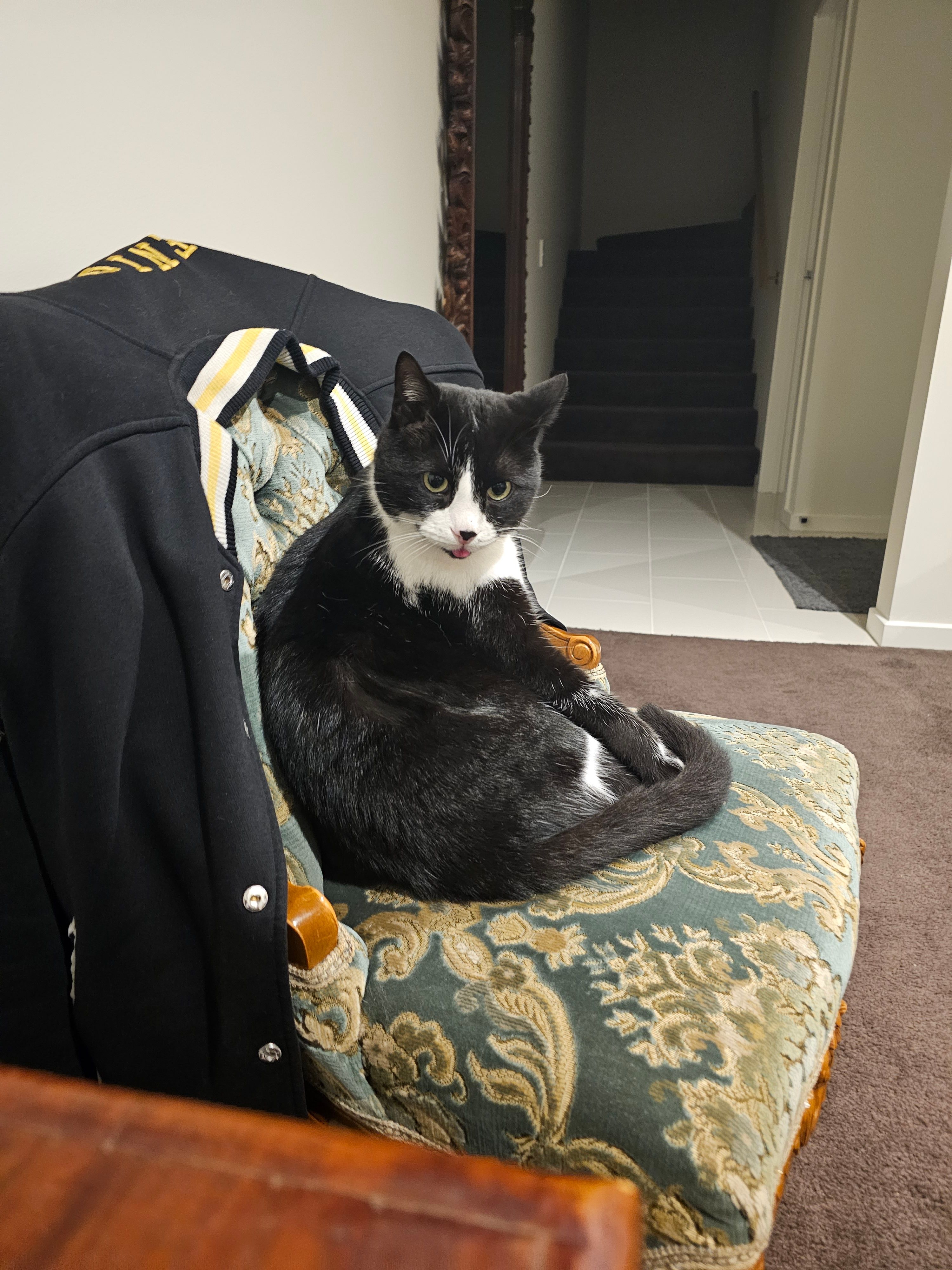 image-7