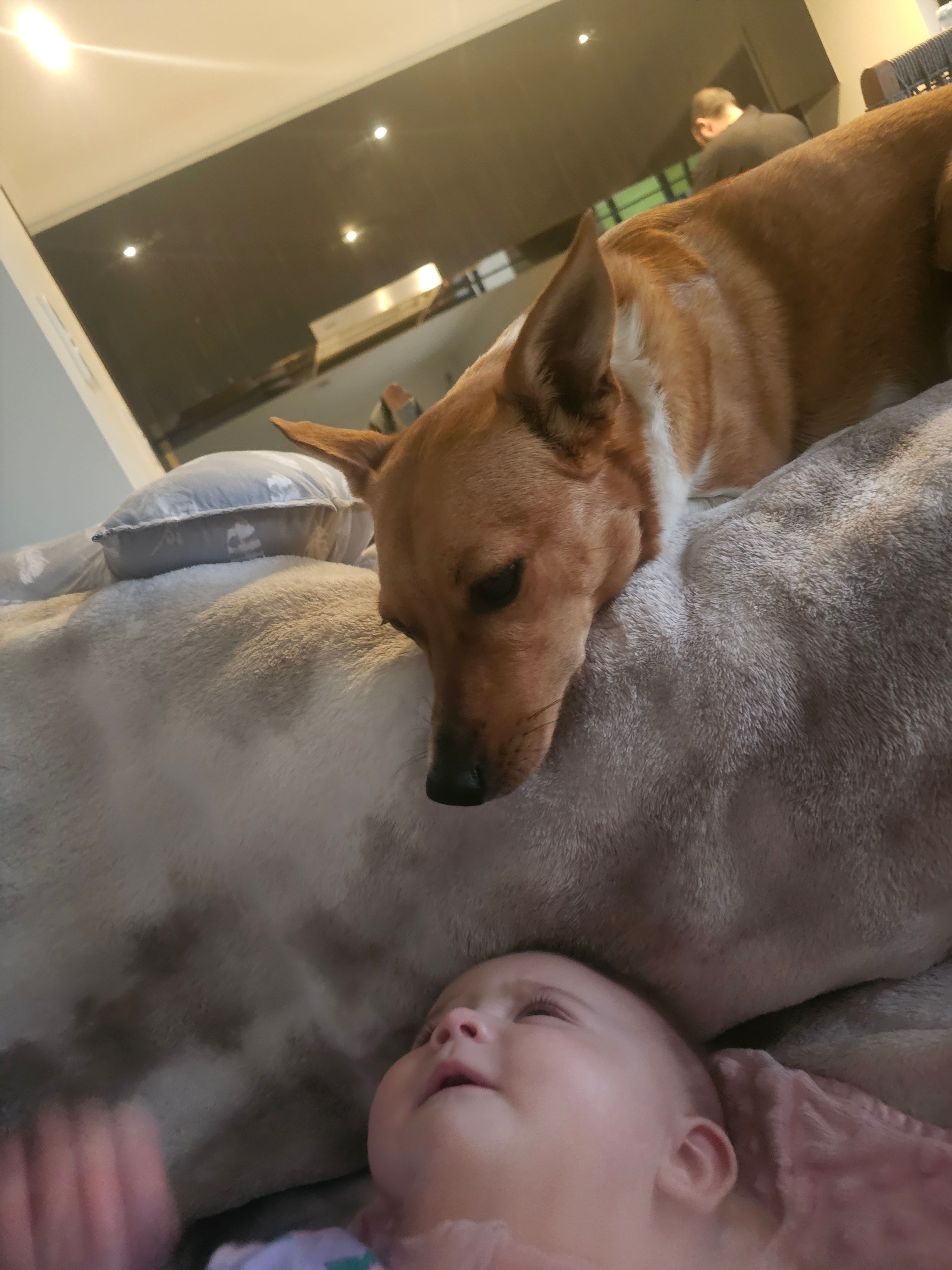 image-5